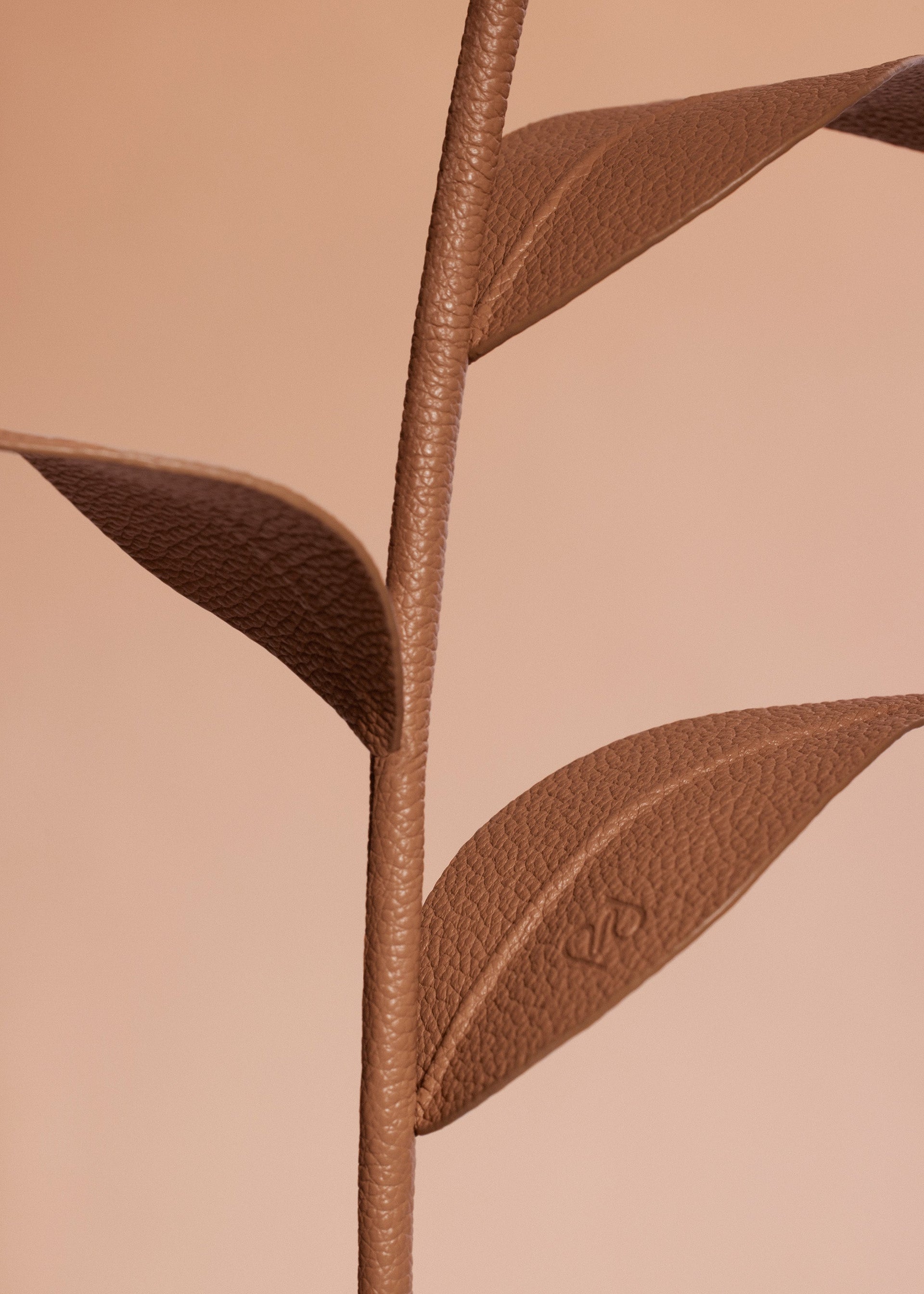 Dalium-blomst - Duo Barkrød