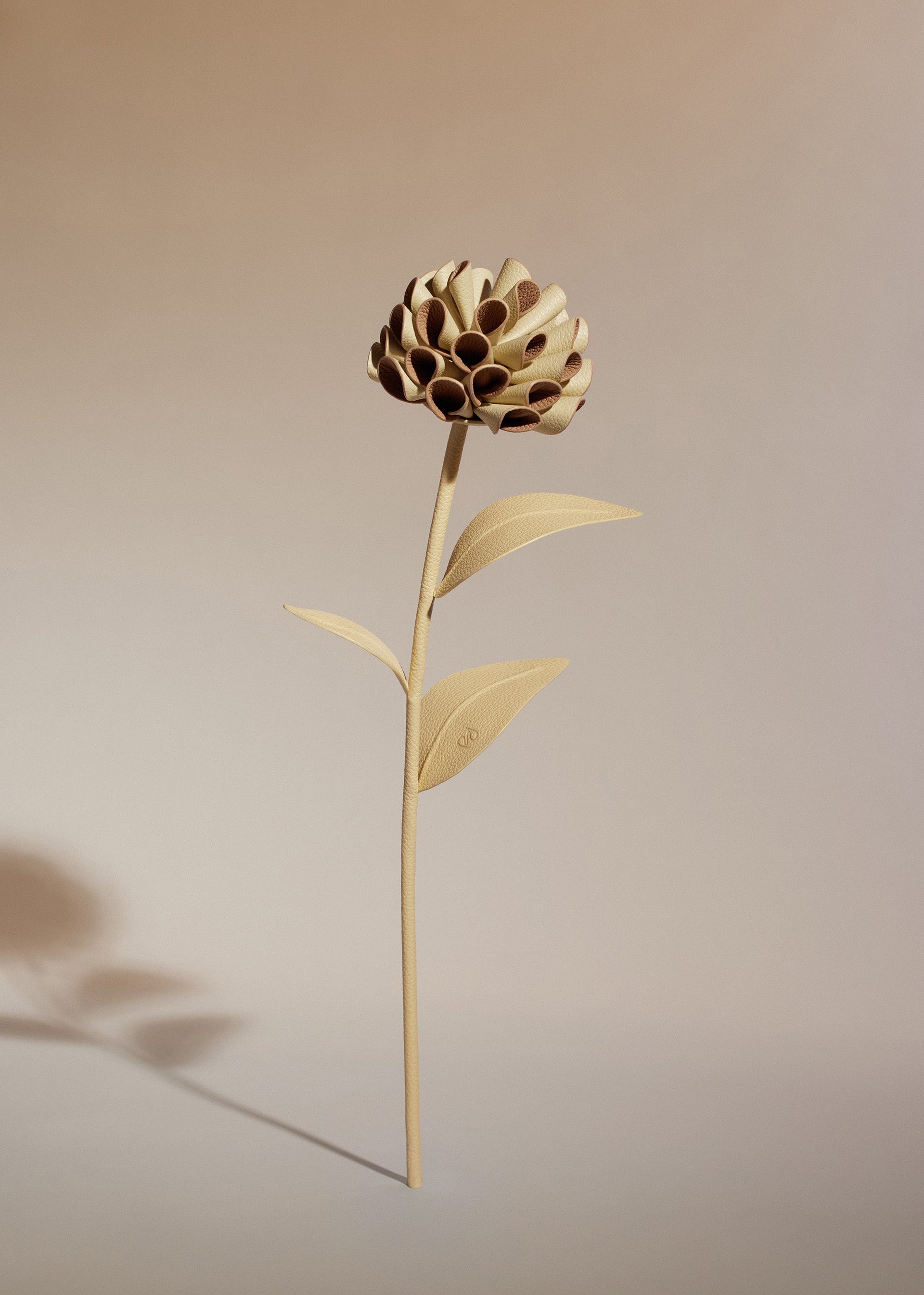 Dalium-blomst - Duo Korngul Kornet