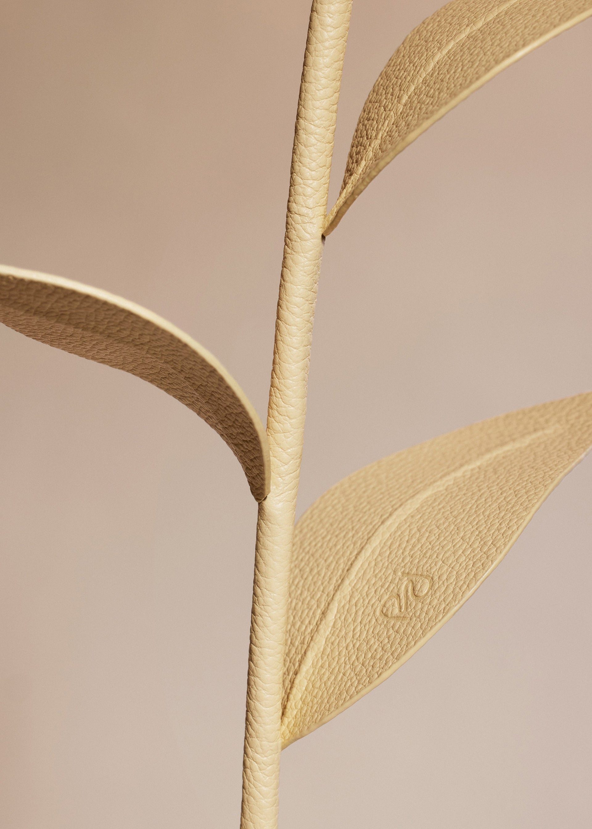 Dalium-blomst - Duo Korngul Kornet