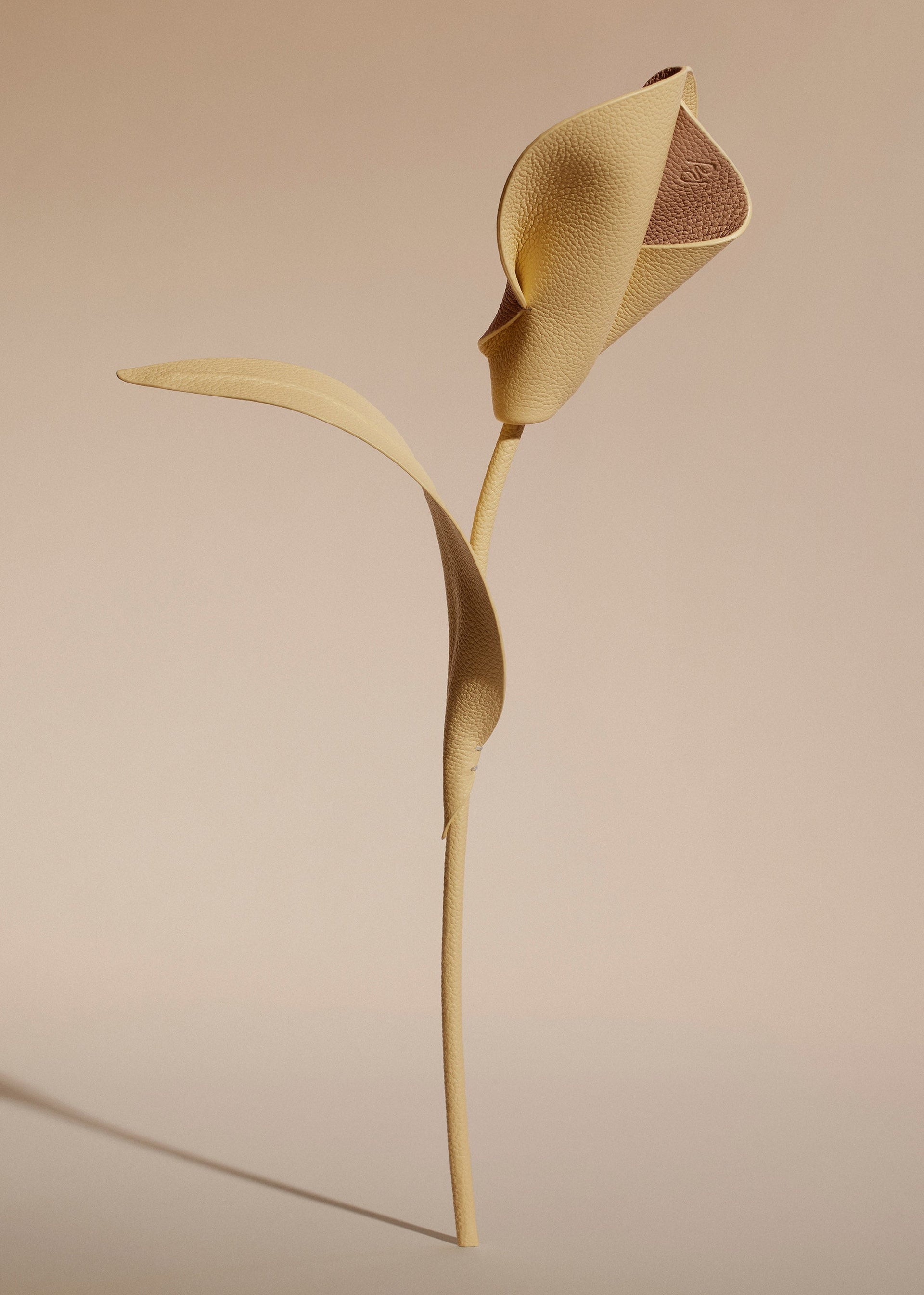 Pili-blomst - Duo Korngul Kornet