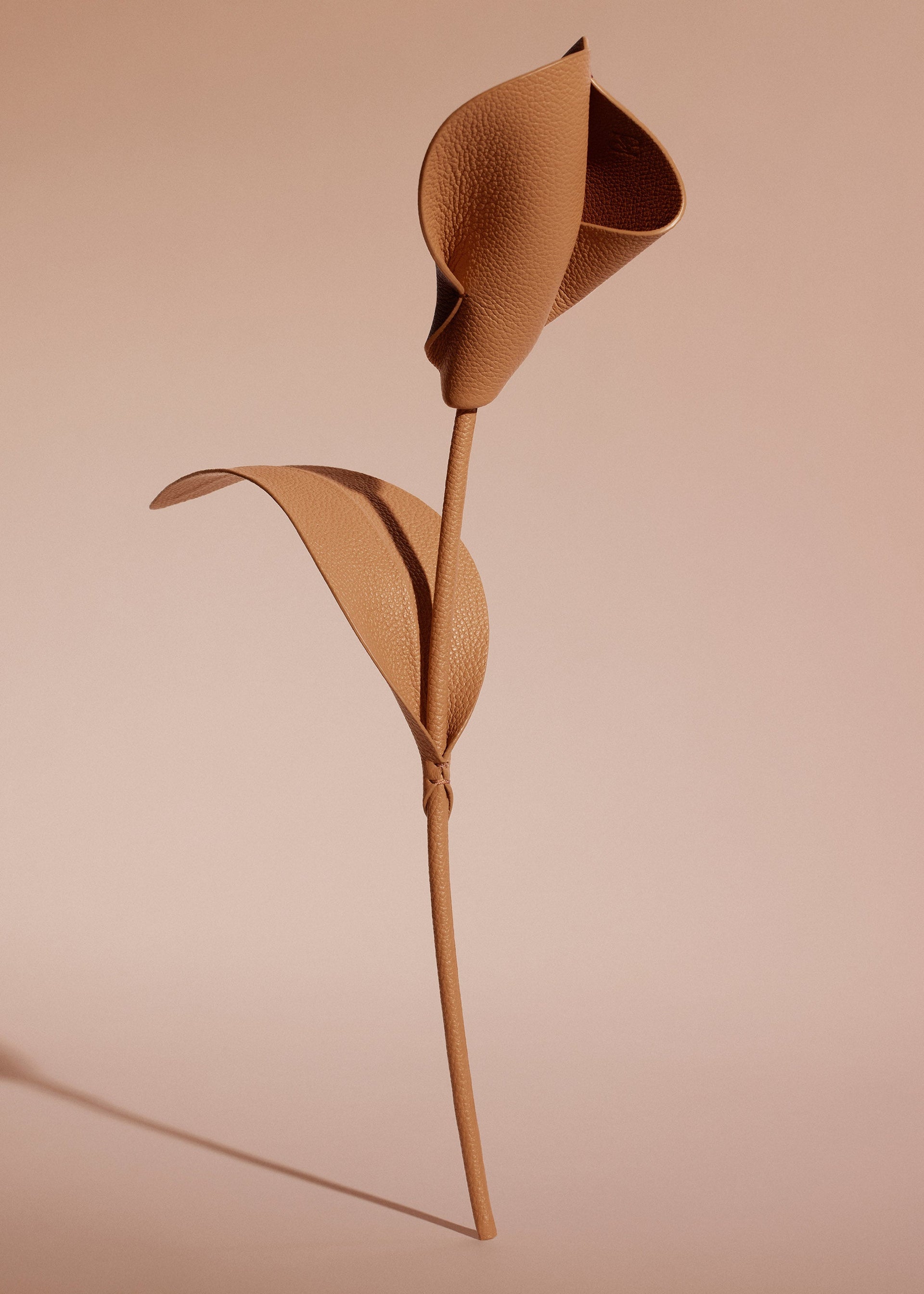 Pili-blomst - Duo Barkrød Kornet