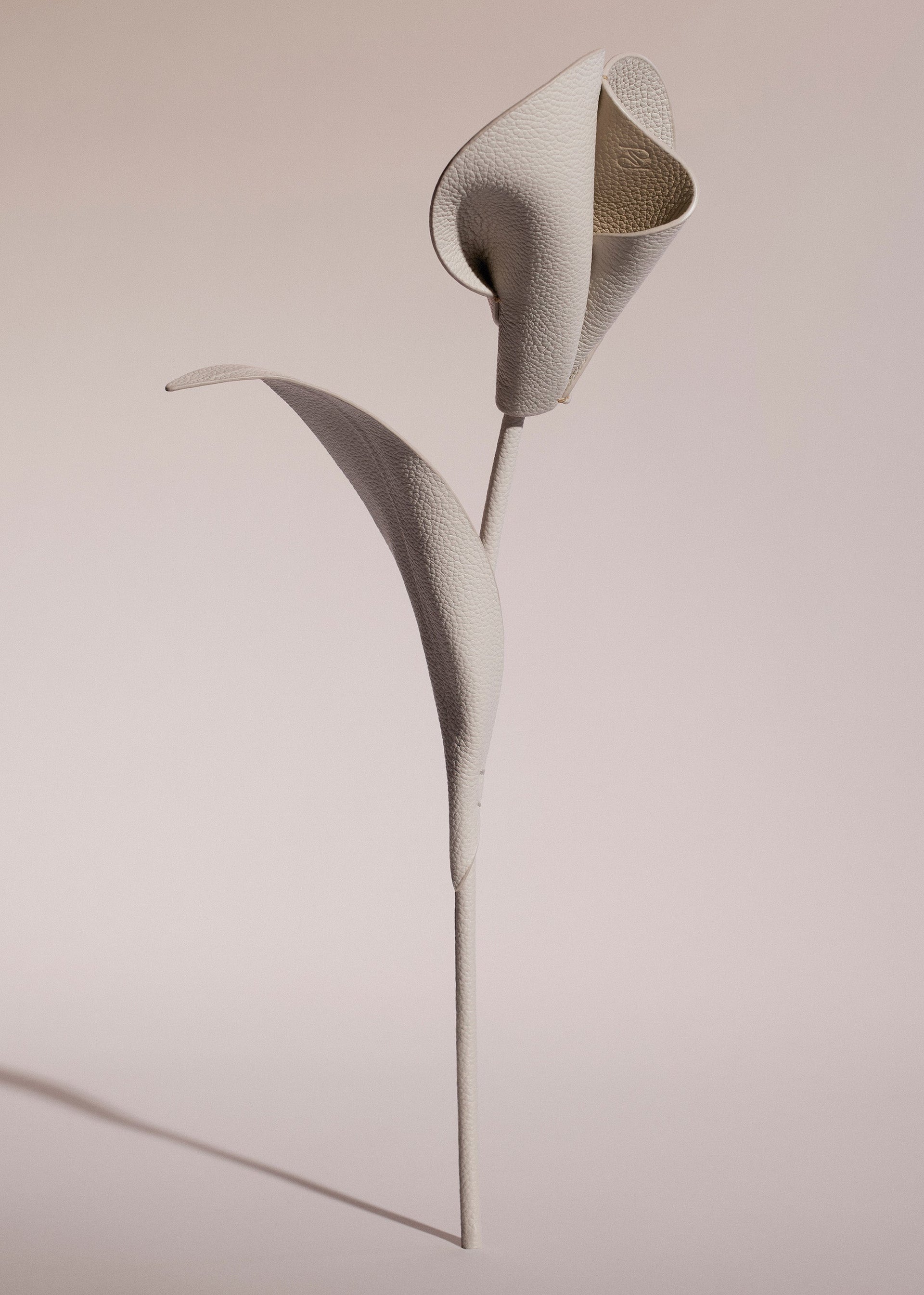 Pili-blomst - Duo Kridt Kornet