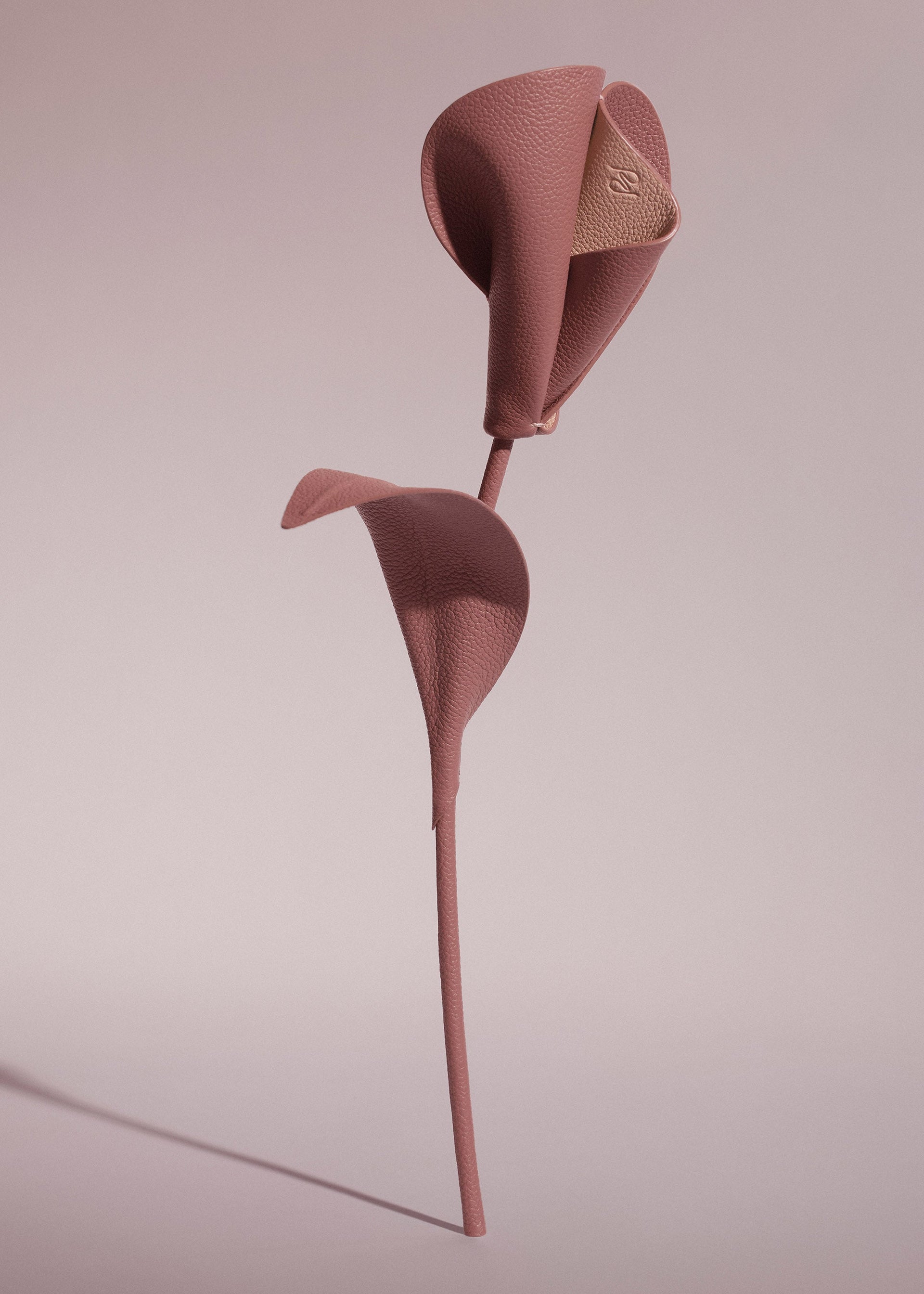 Pili-blomst - Duo Blush Kornet