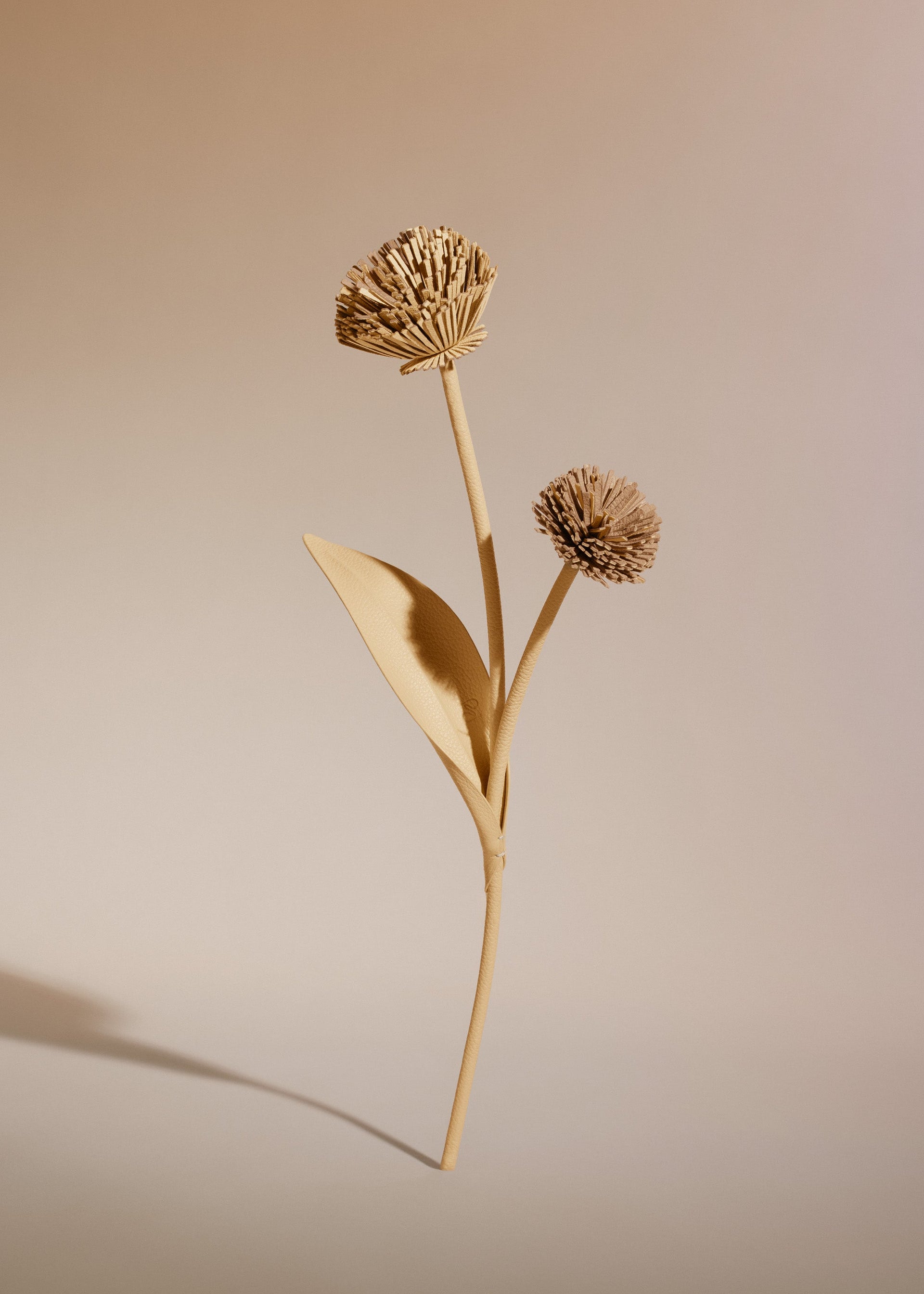 Tul-blomst - Duo Barkrød Kornet