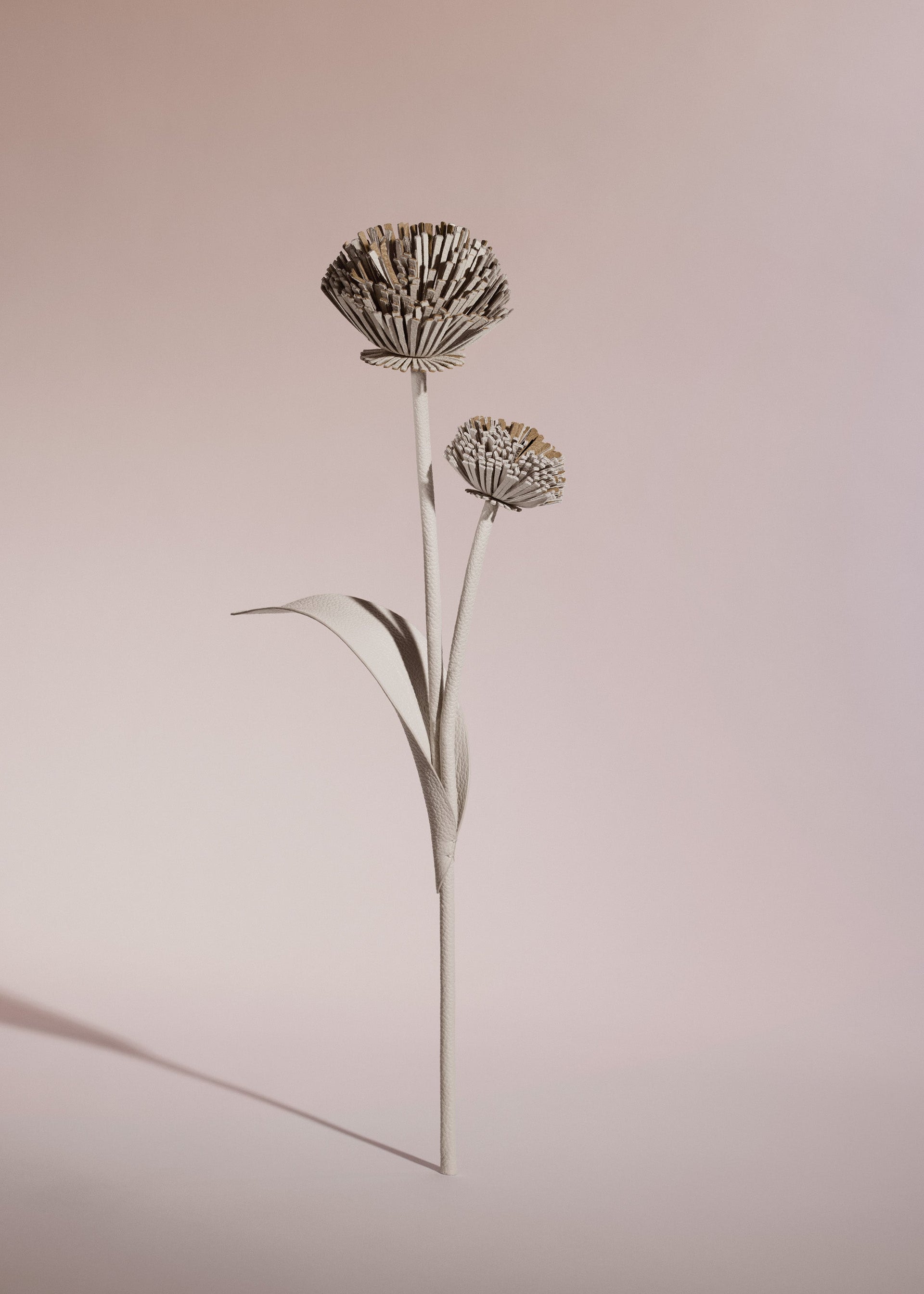 Tul-blomst - Duo Kridt Kornet