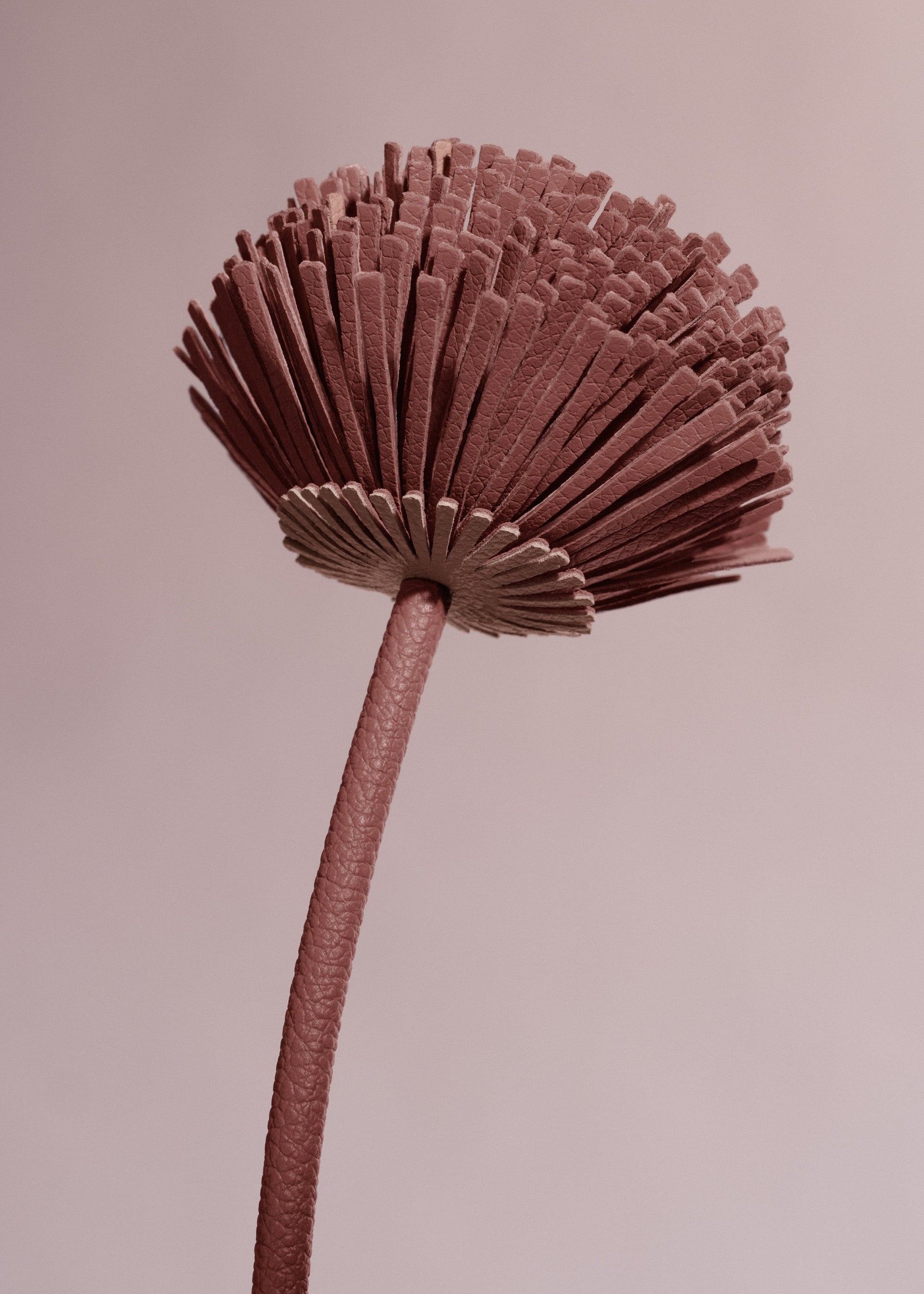 Tul-blomst - Duo Blush Kornet