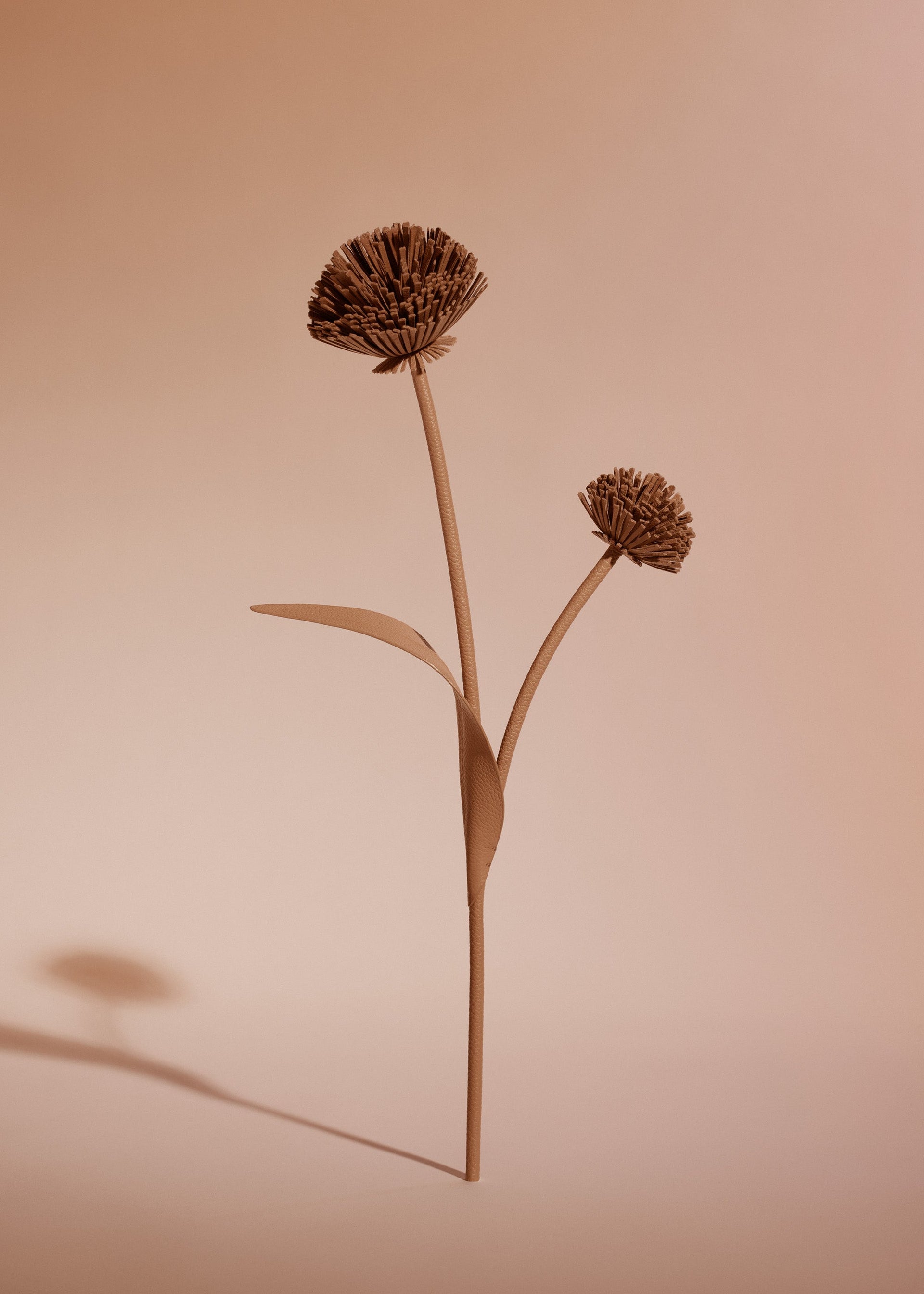 Tul-blomst - Duo Barkrød Kornet