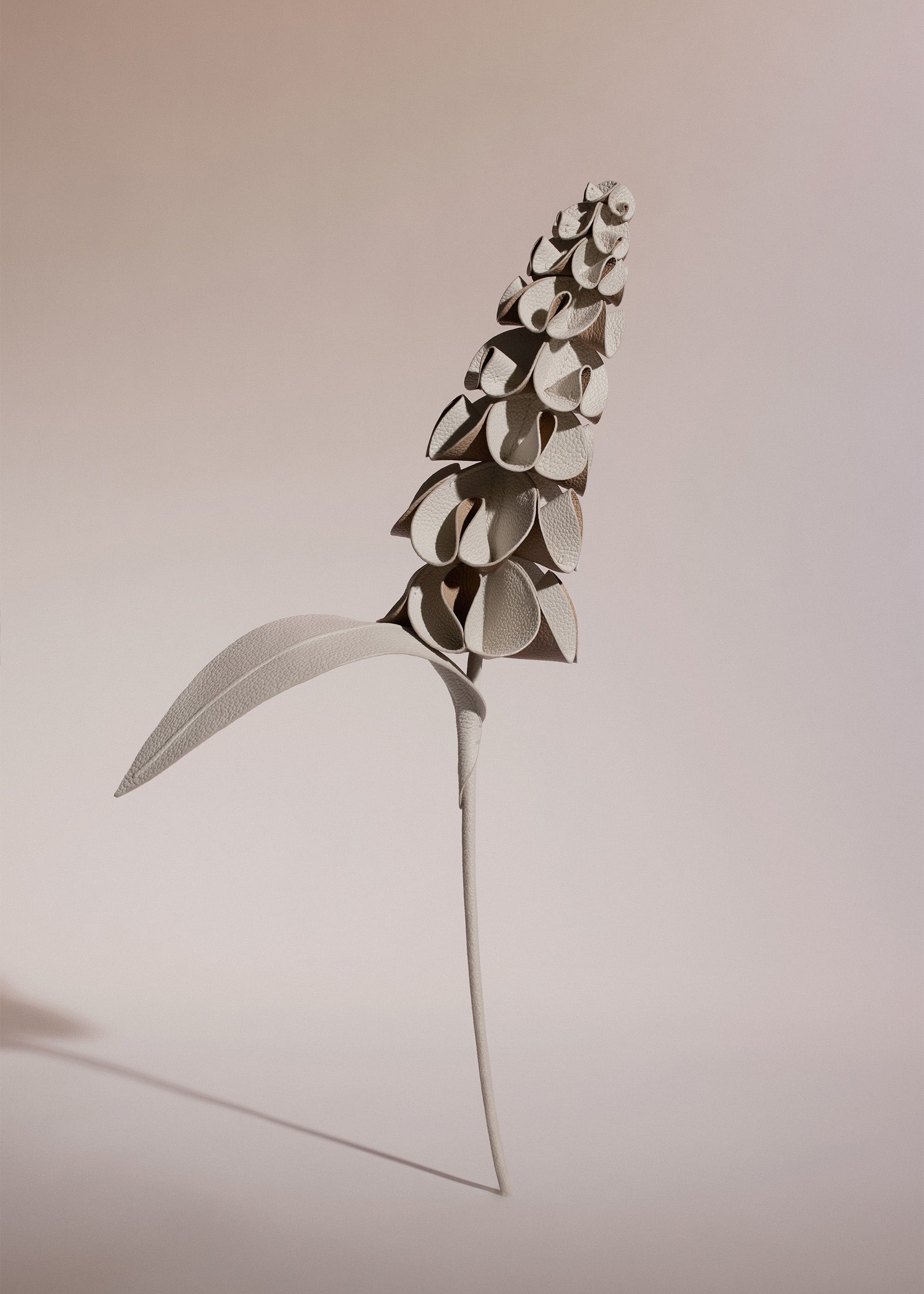 Orki-blomst - Duo Kridt Kornet