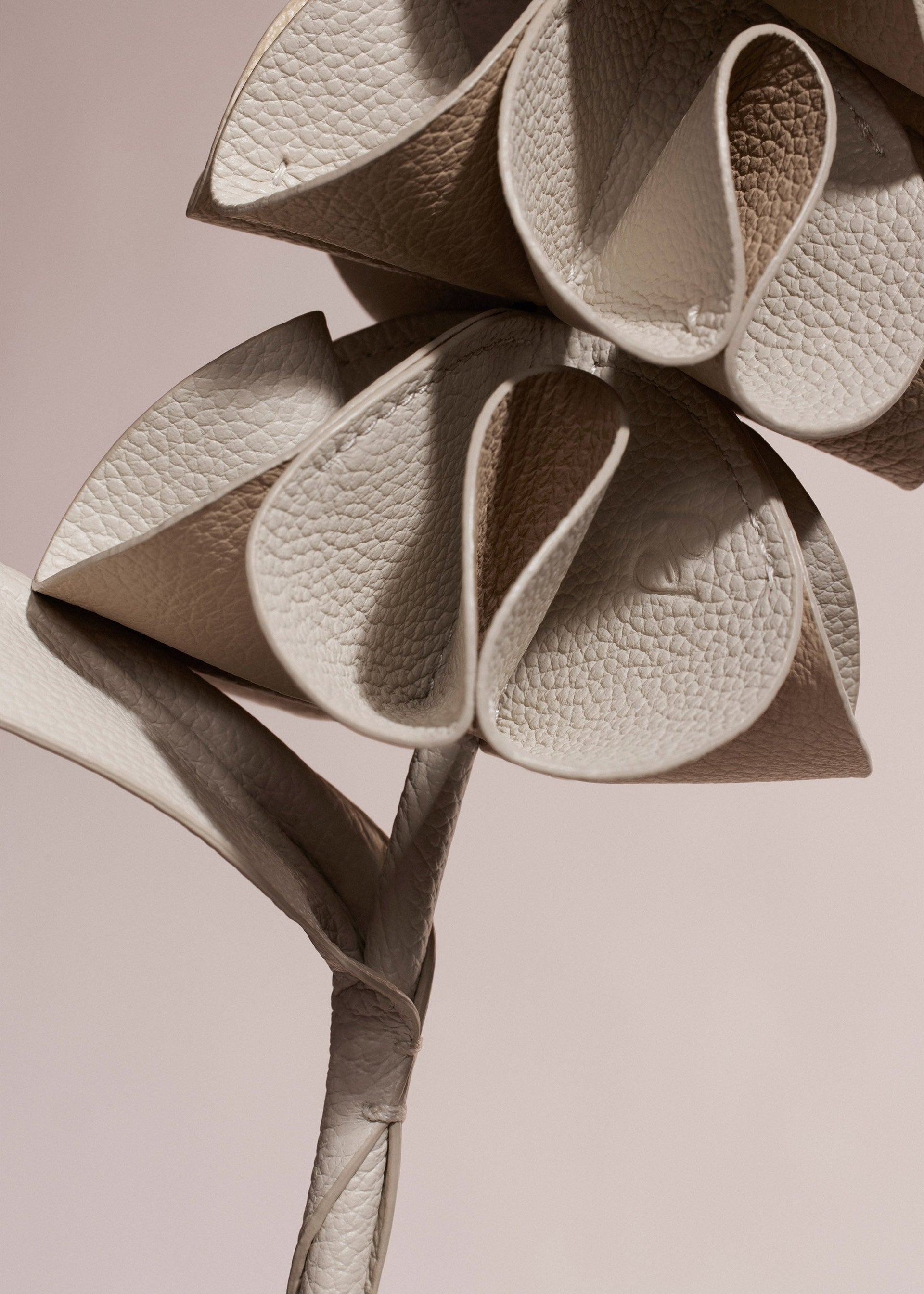 Orki-blomst - Duo Kridt Kornet