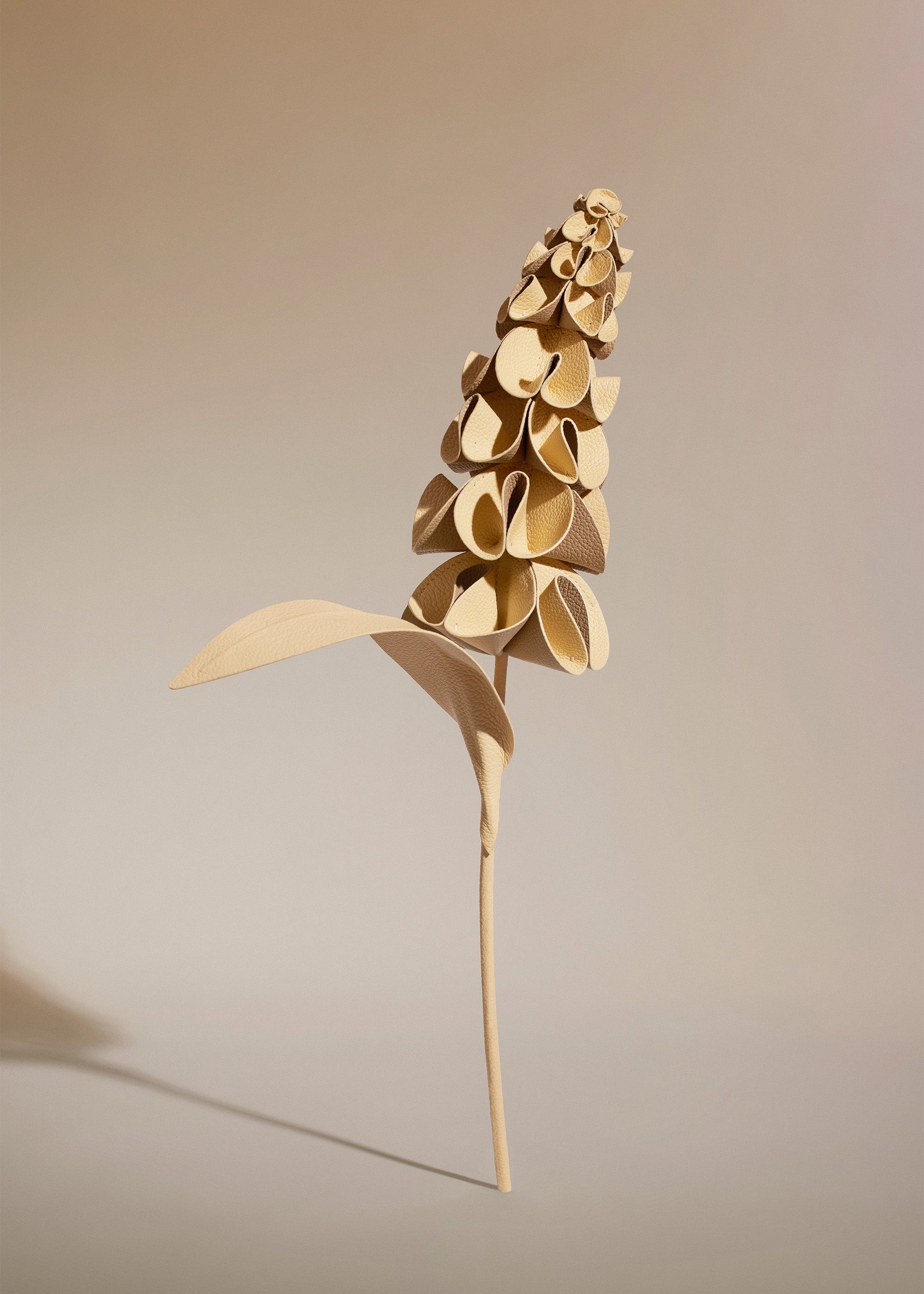 Orki-blomst - Duo Korngul Kornet