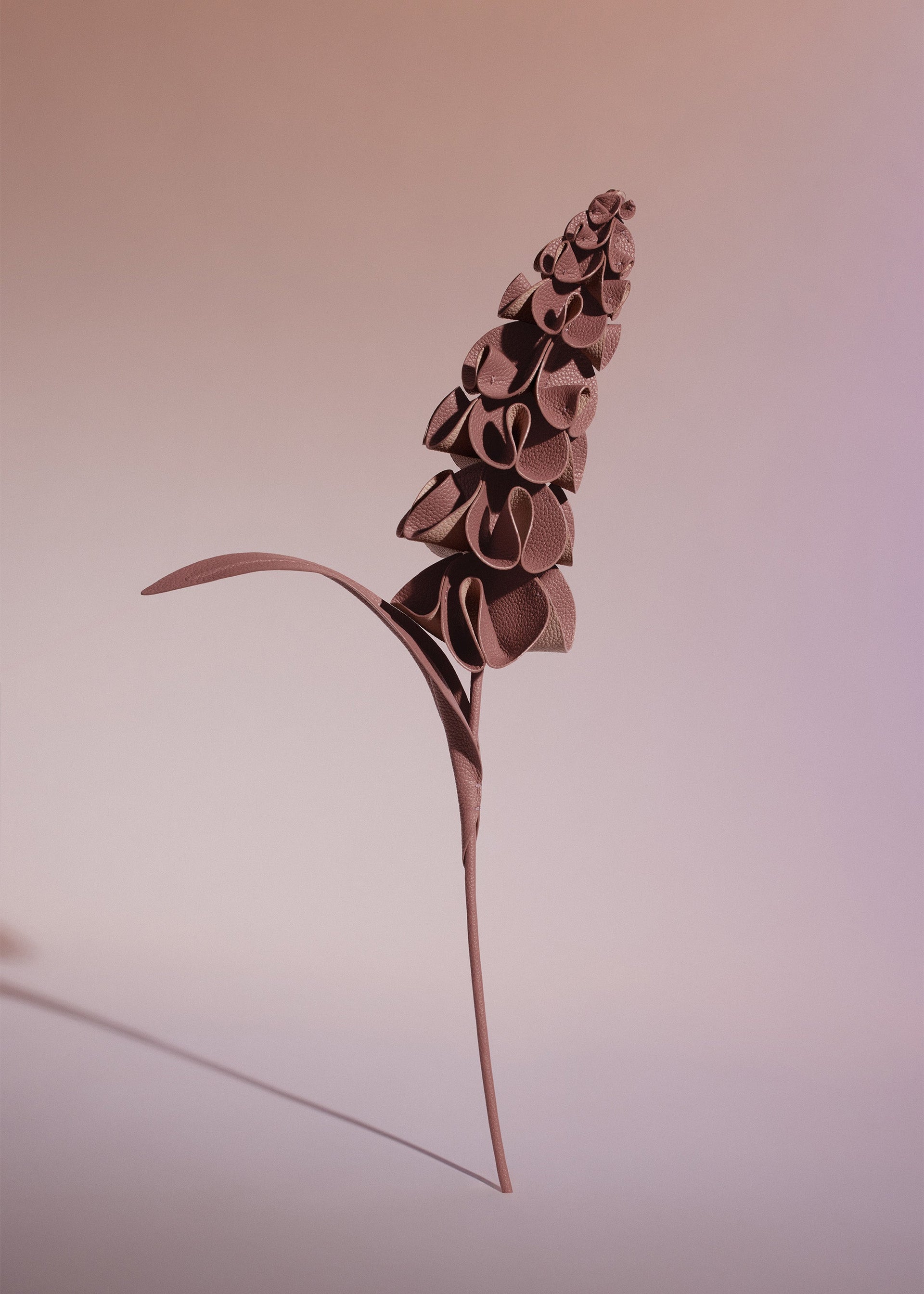 Orki-blomst - Duo Blush Kornet