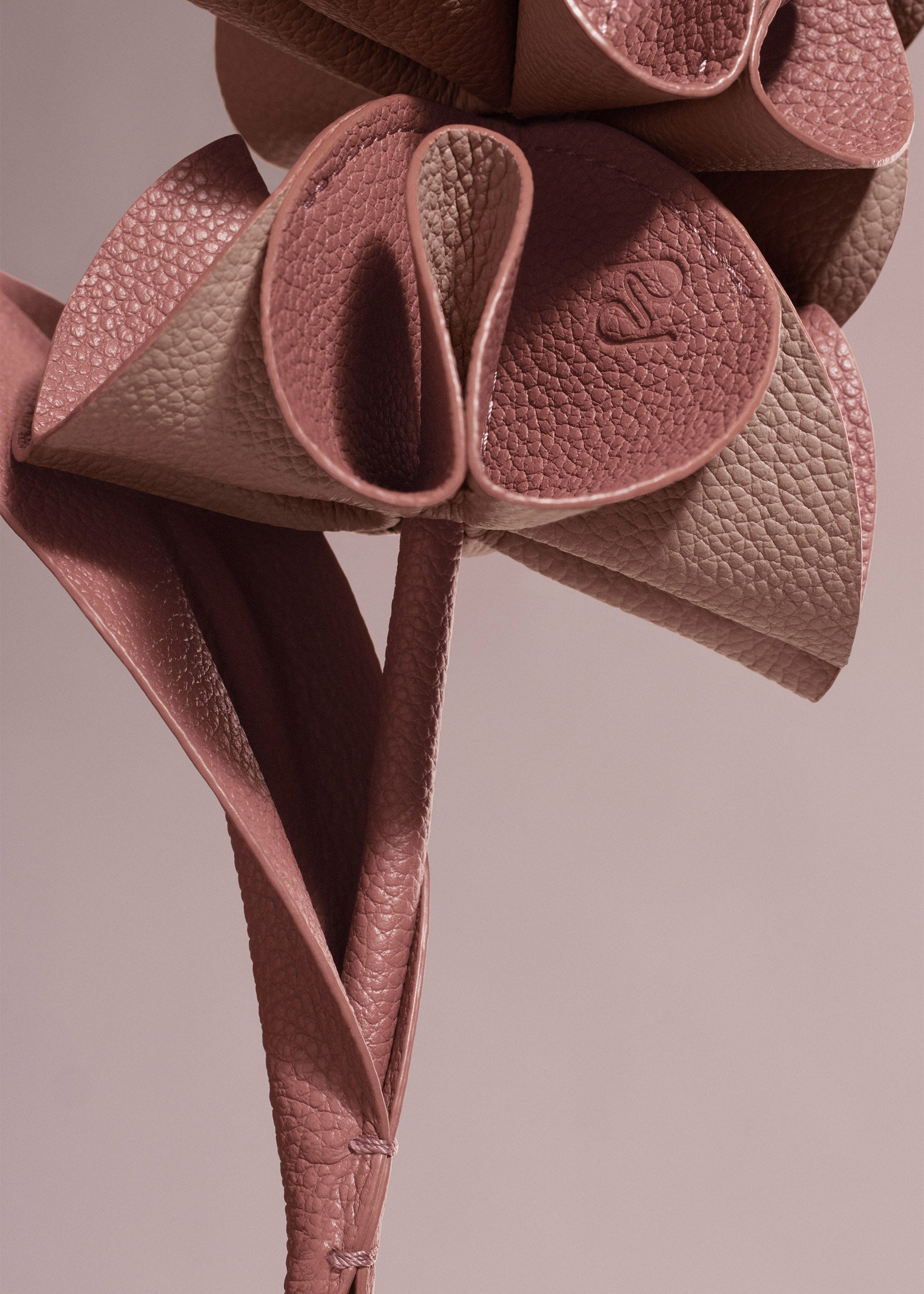 Orki-blomst - Duo Blush Kornet