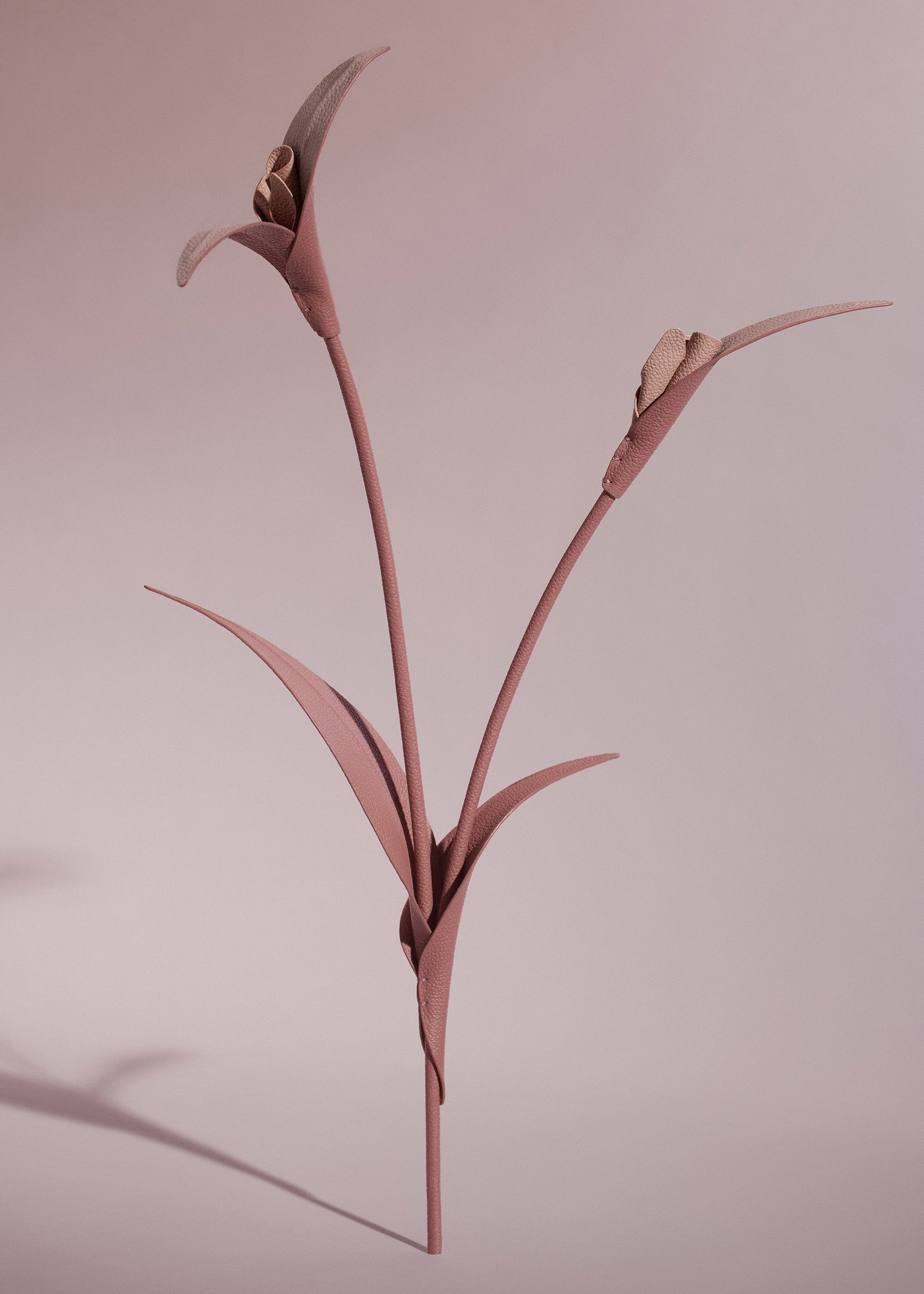 Touka-blomst - Trio Blush Kornet