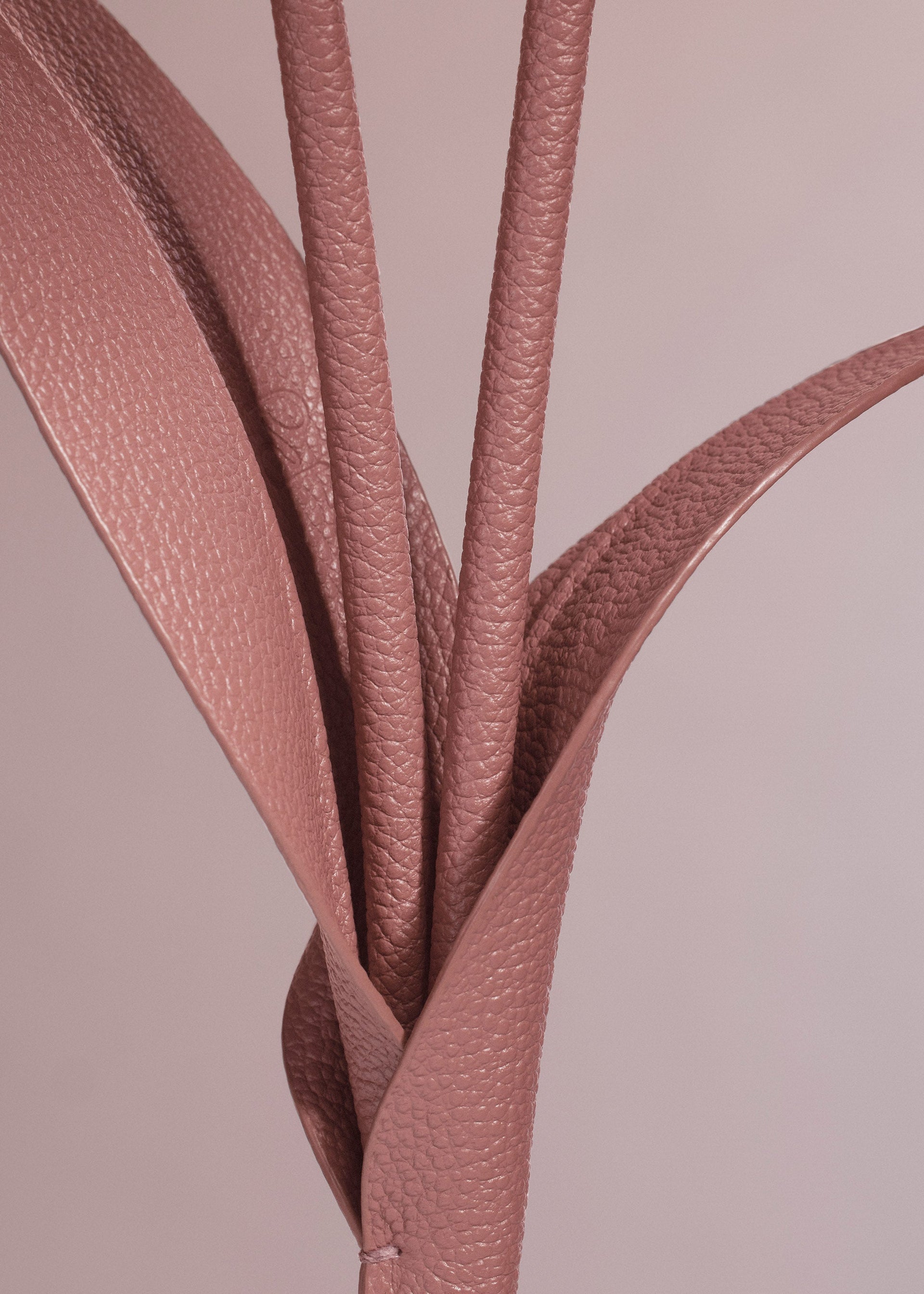 Touka-blomst - Trio Blush Kornet