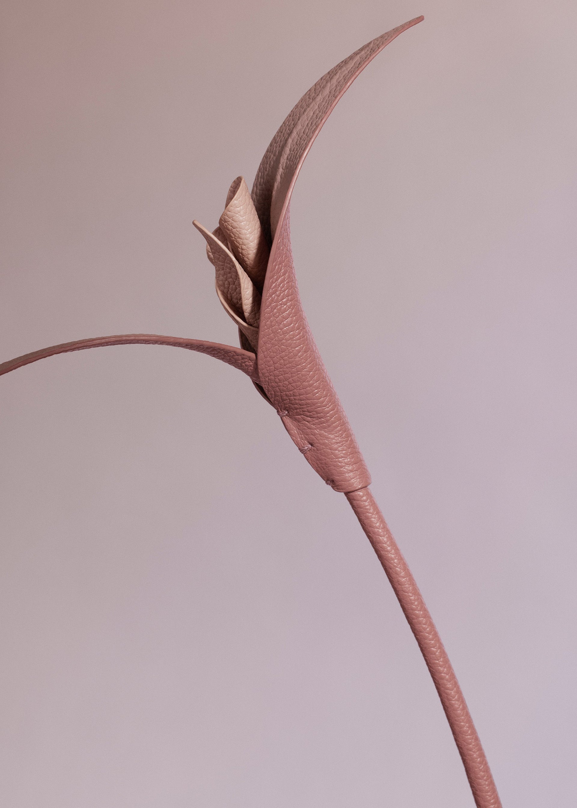 Touka-blomst - Trio Blush Kornet