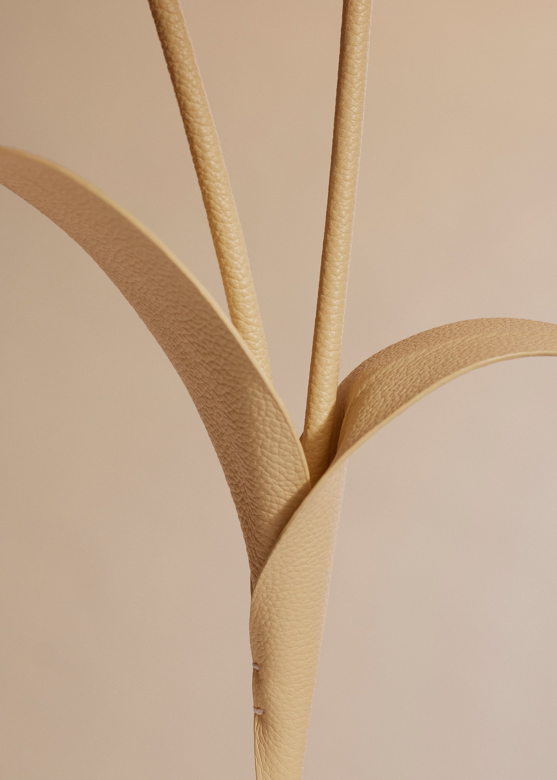 Touka-blomst - Trio Korngul Kornet