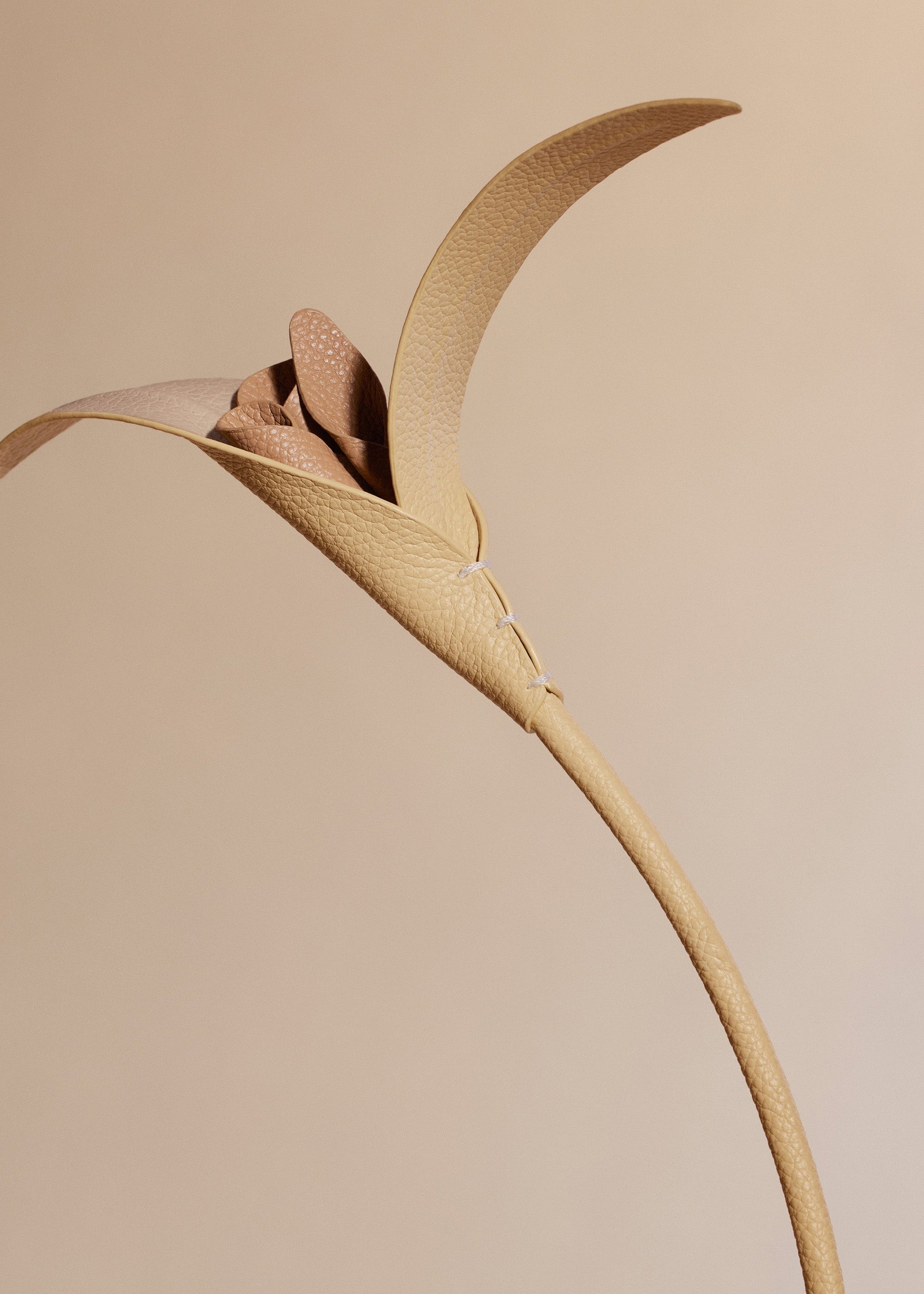 Touka-blomst - Trio Korngul Kornet