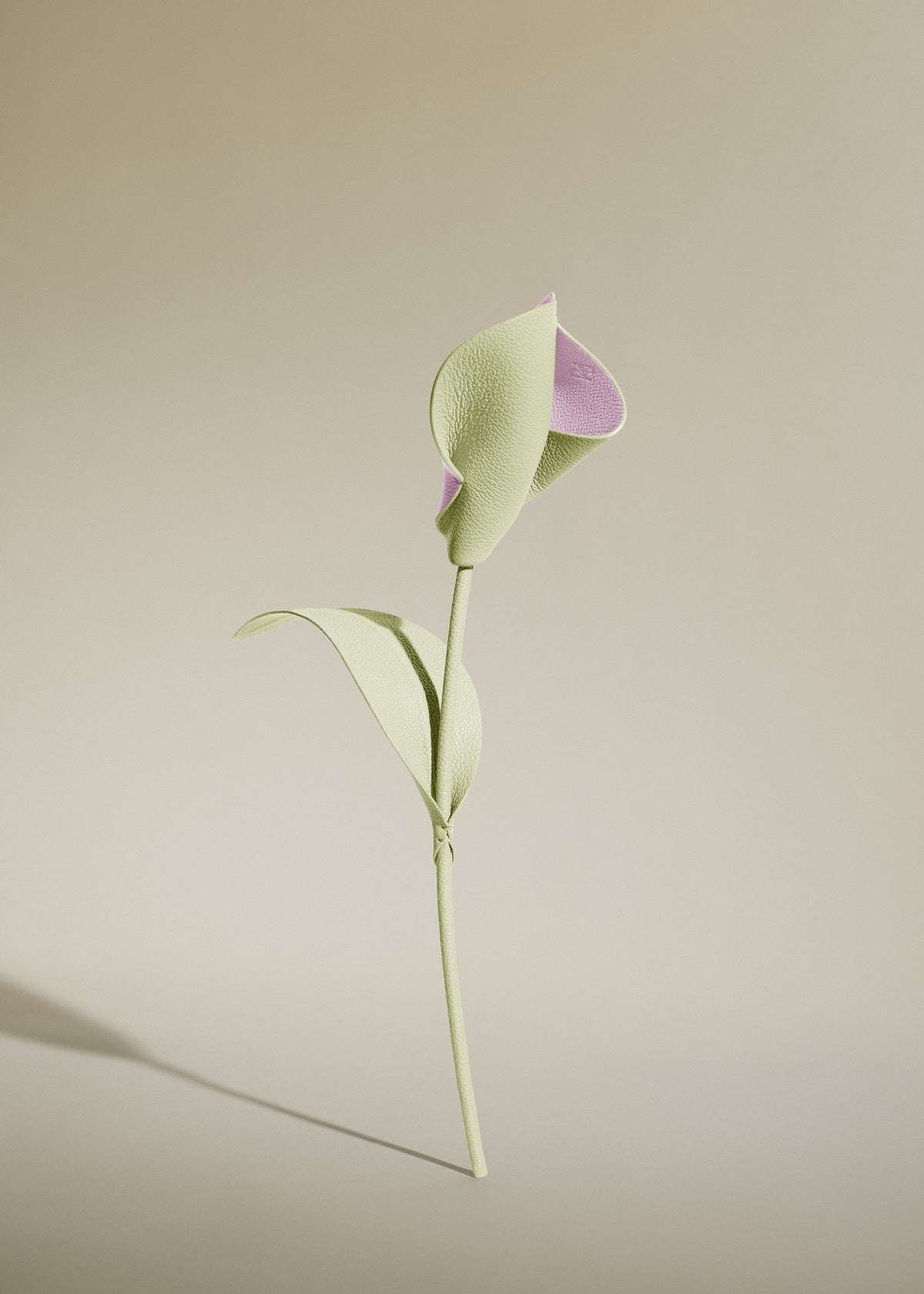 Pili Blomst - Aloe