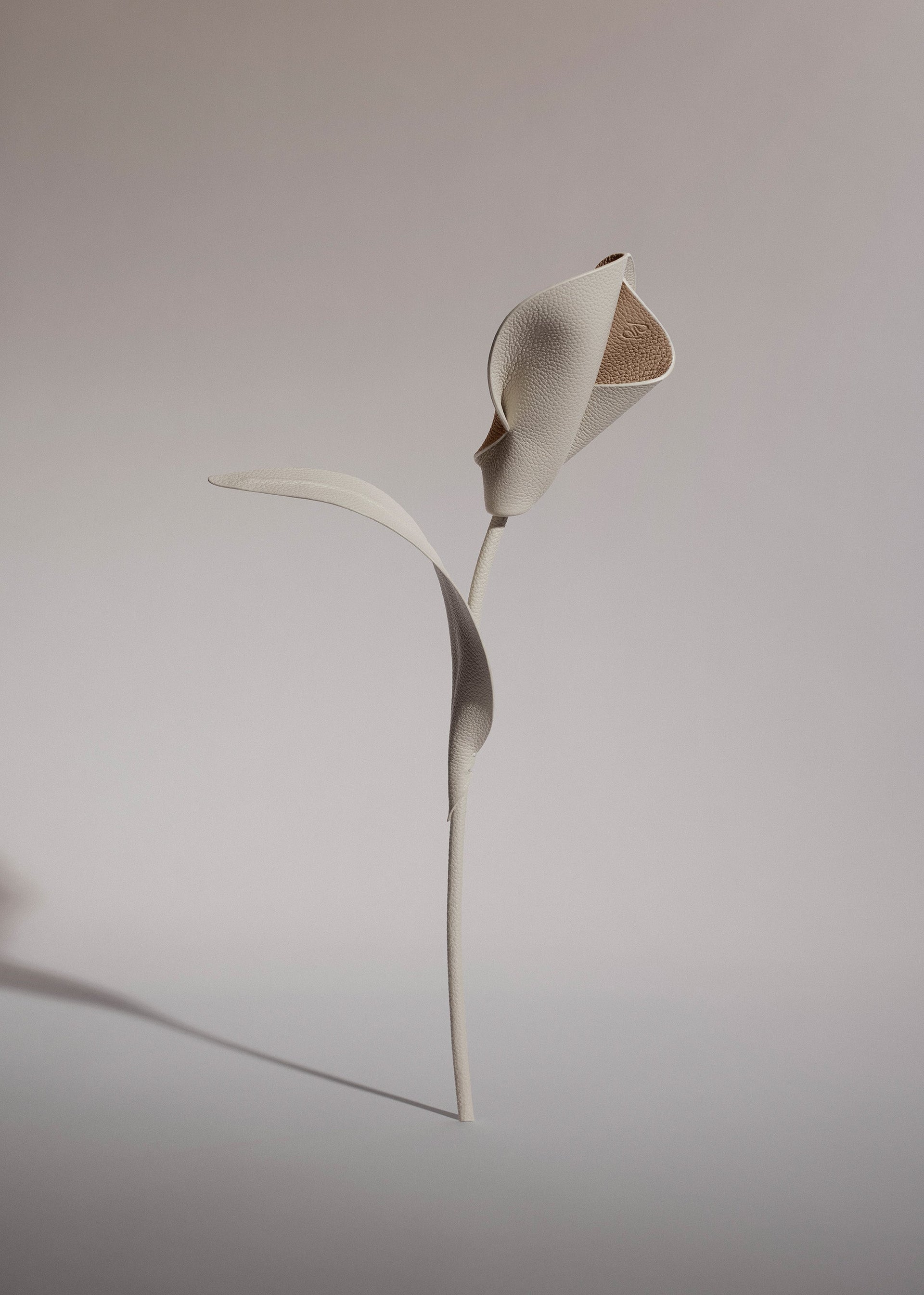 Pili-blomst - Duo Kridt