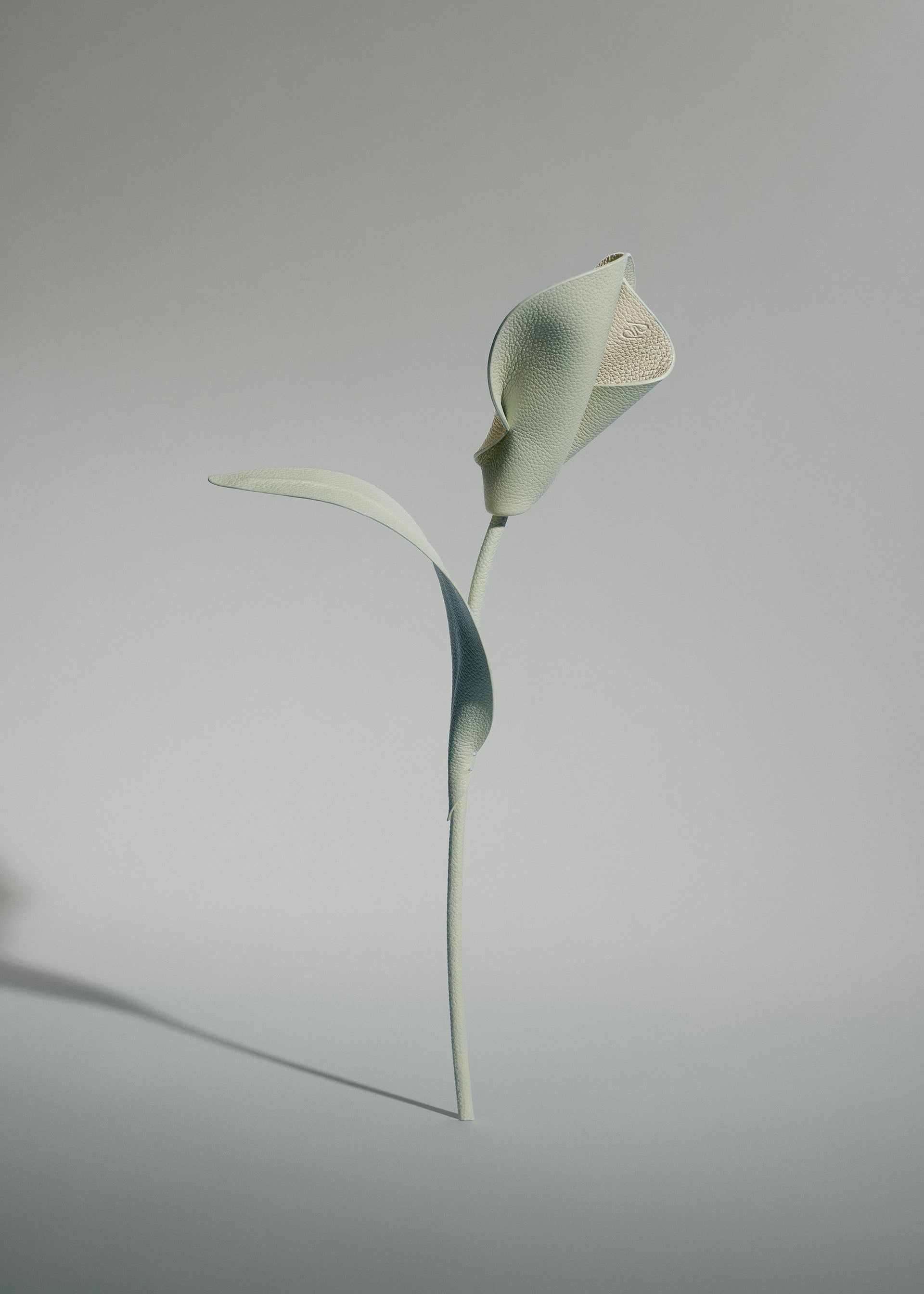 Pili Flower - Duo Frisk Mandel