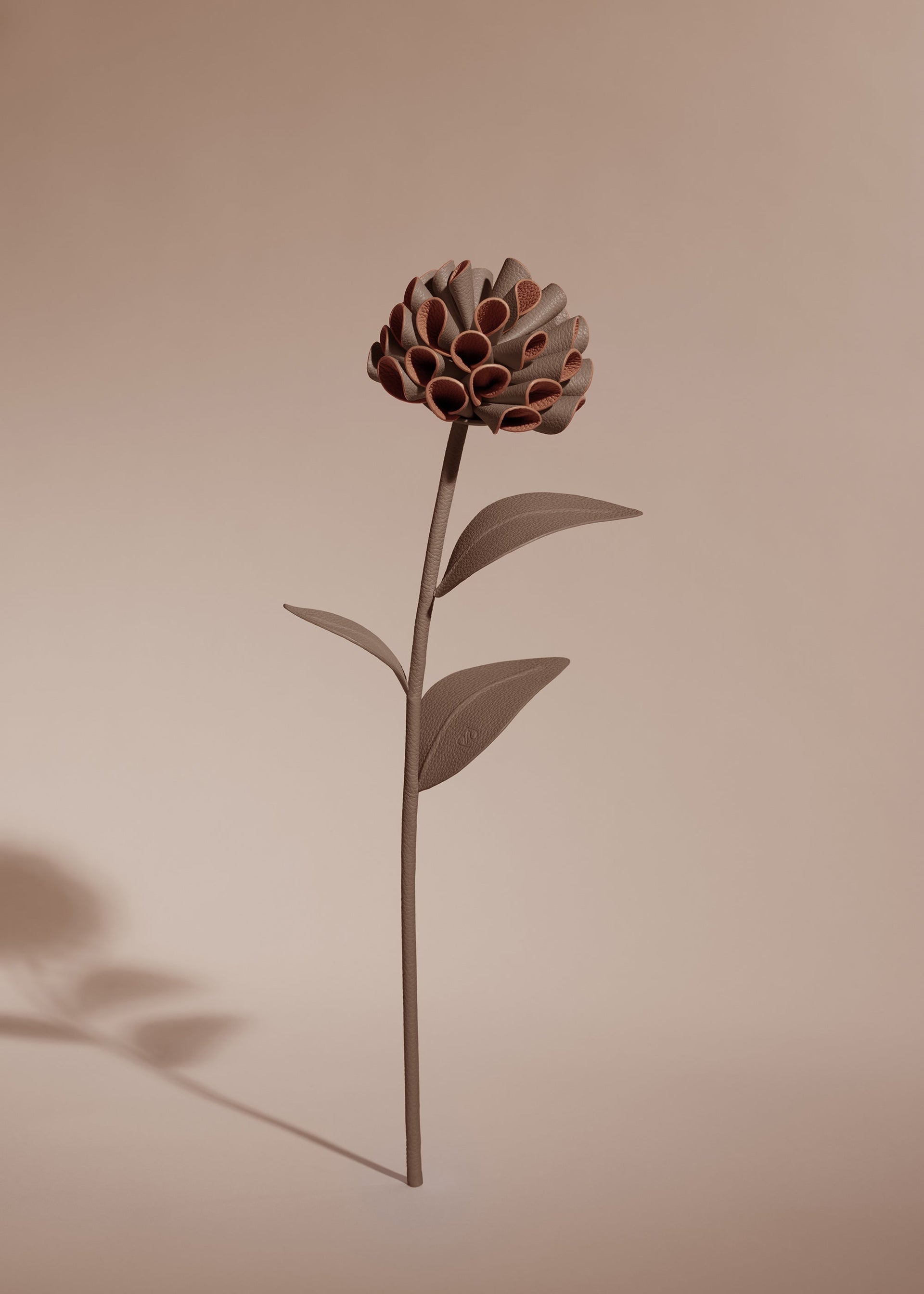Dalium Blomst - Rod