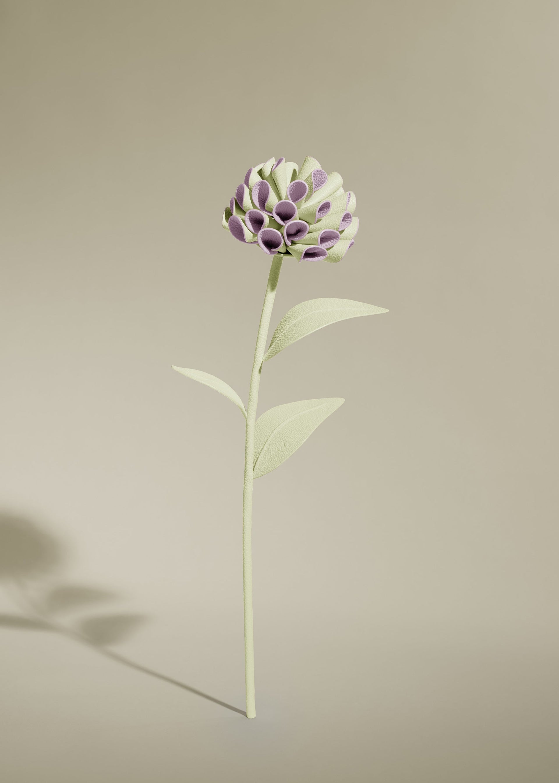 Dalium Blomst - Aloe