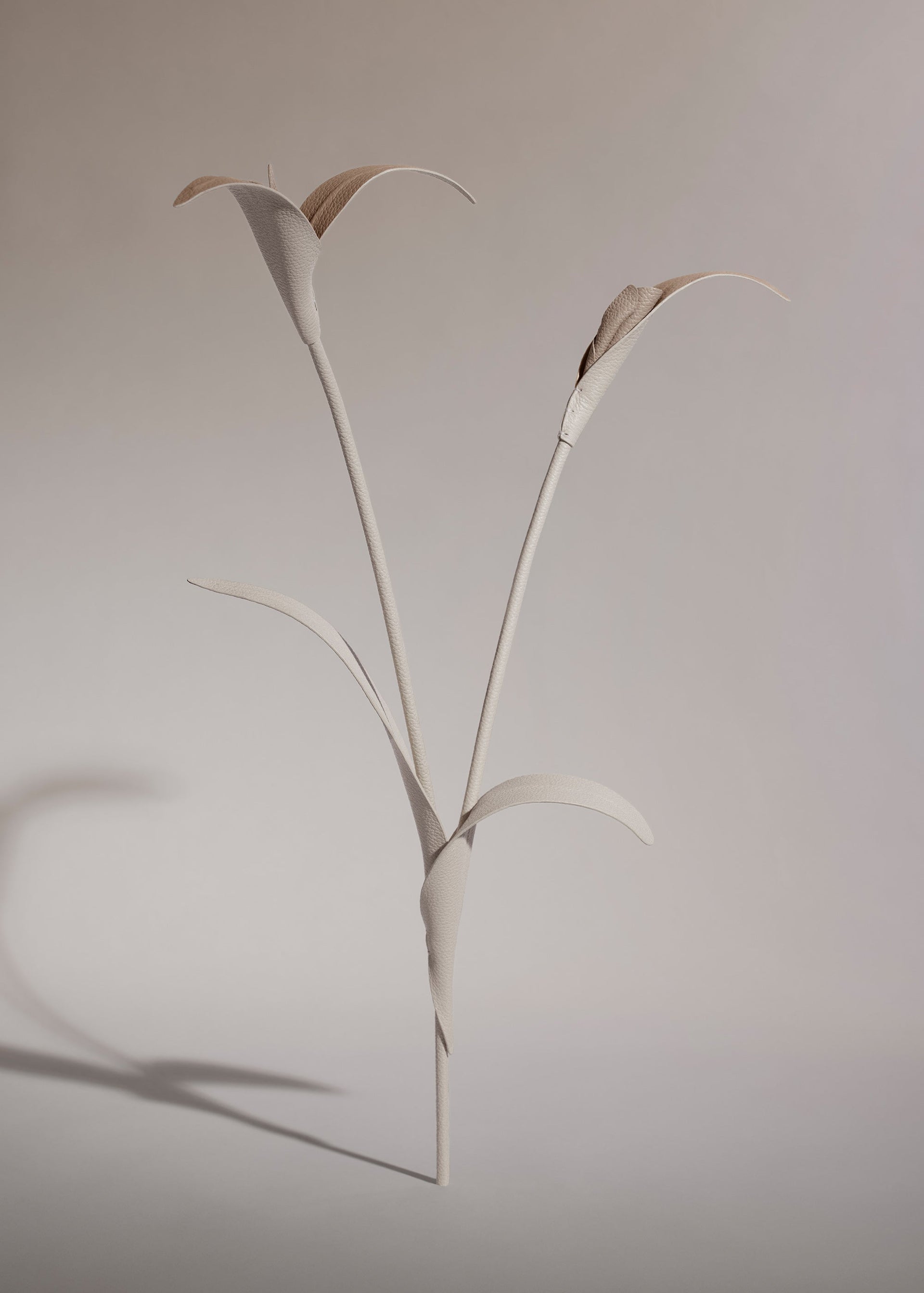 Touka-blomst - Trio Kridt