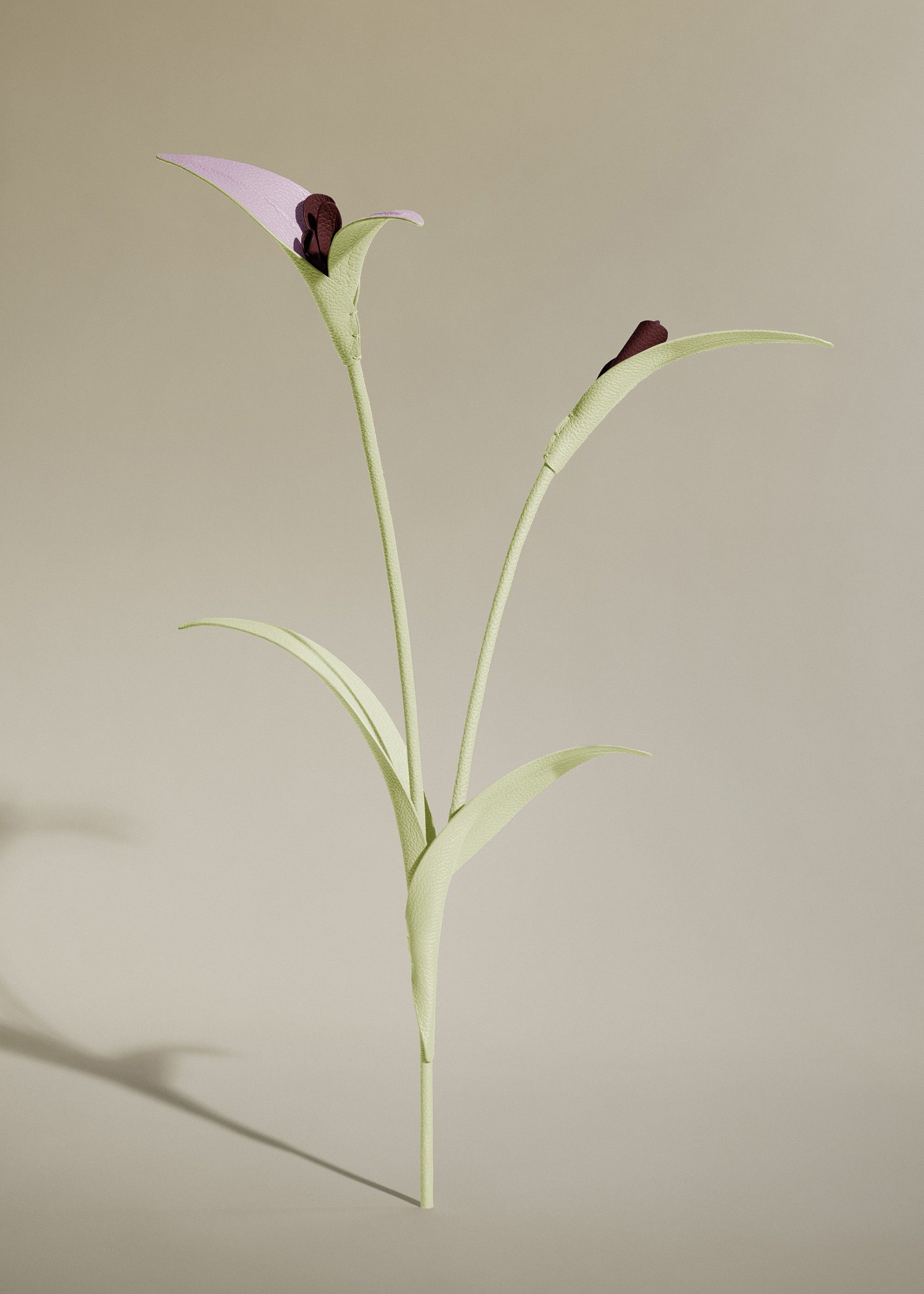 Touka Blomst - Aloe