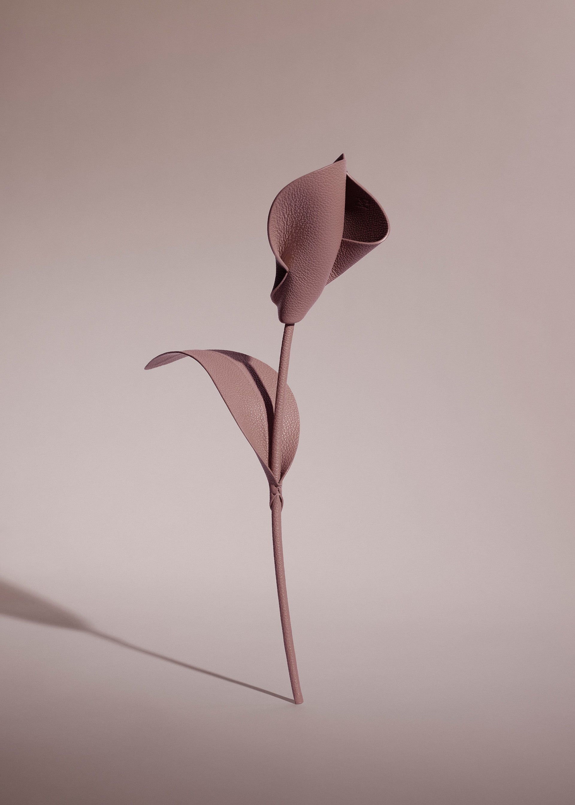 Pili-blomst - Duo Lilla