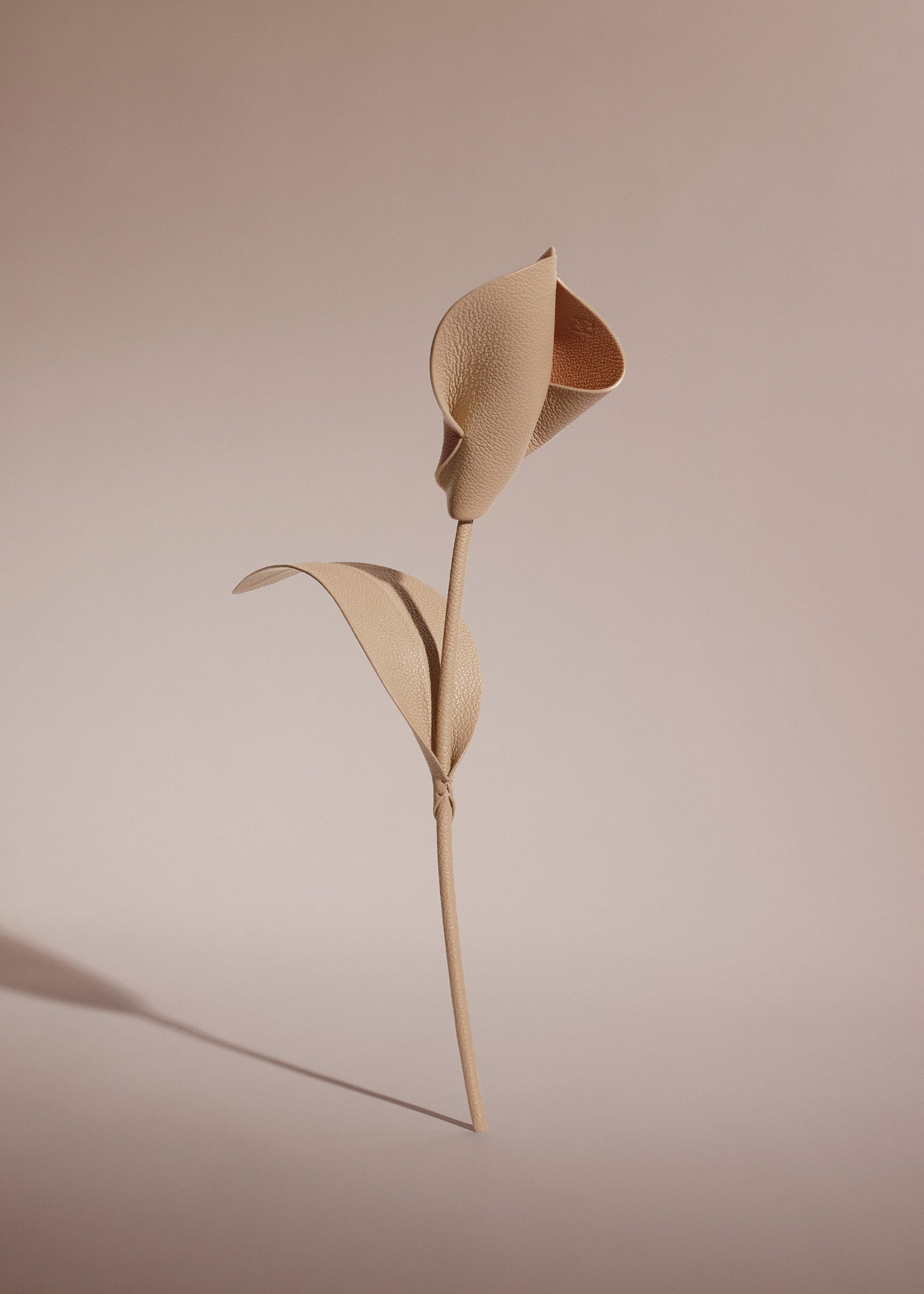 Pili-blomst - Duo Beige