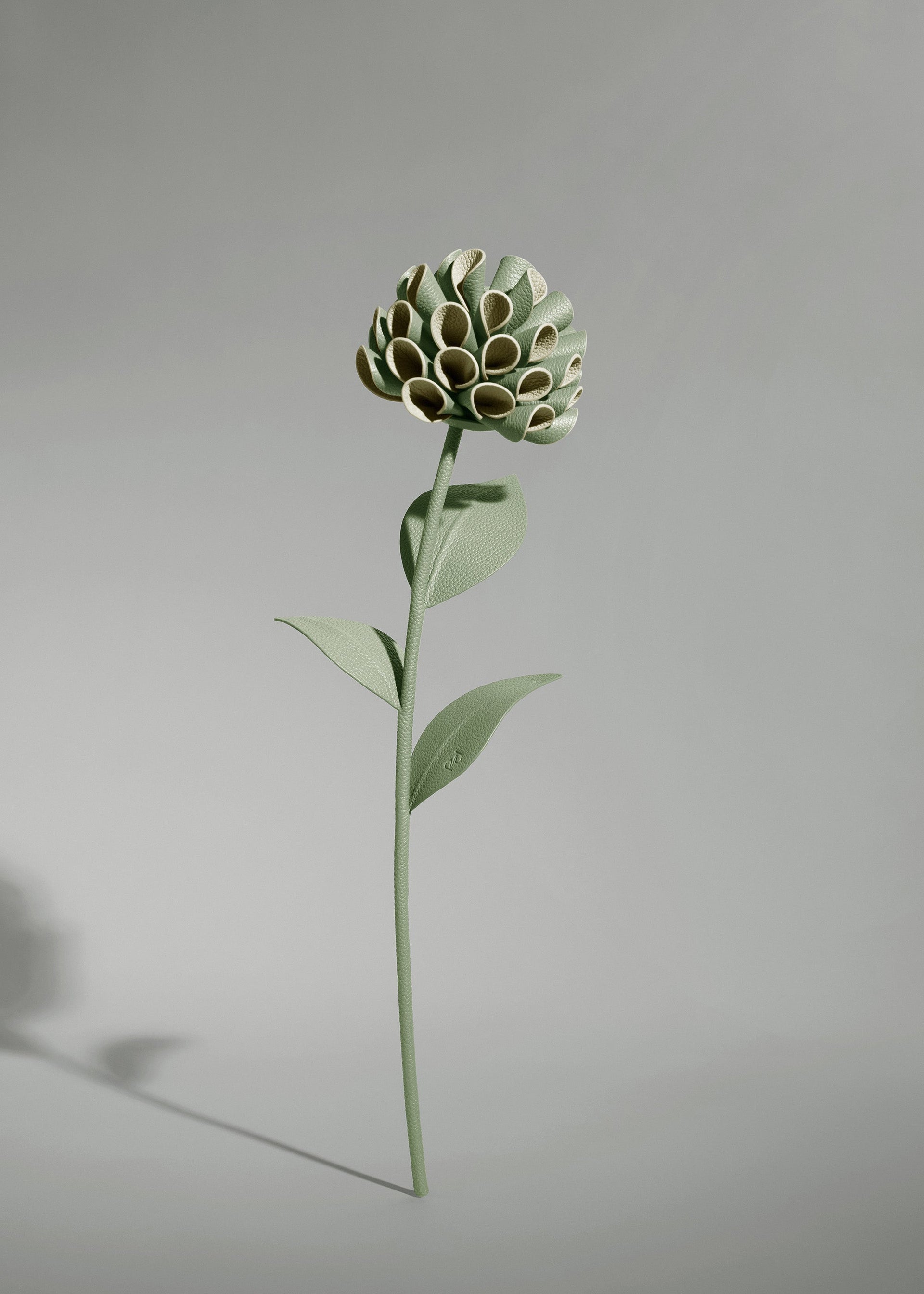 Dalium-blomst - Duo Frisk Mandel