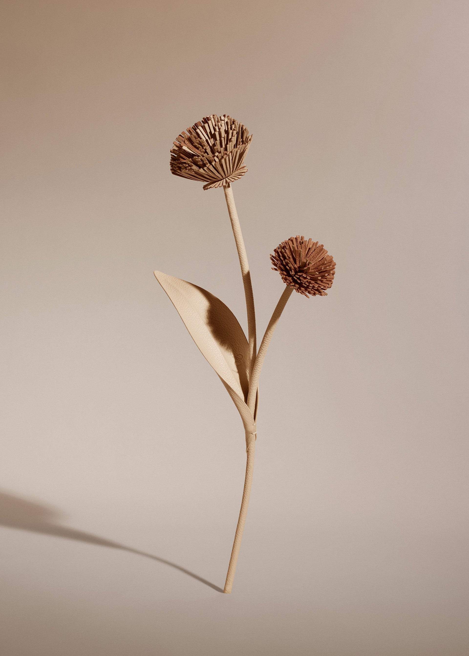 Tul-blomst - Duo Beige