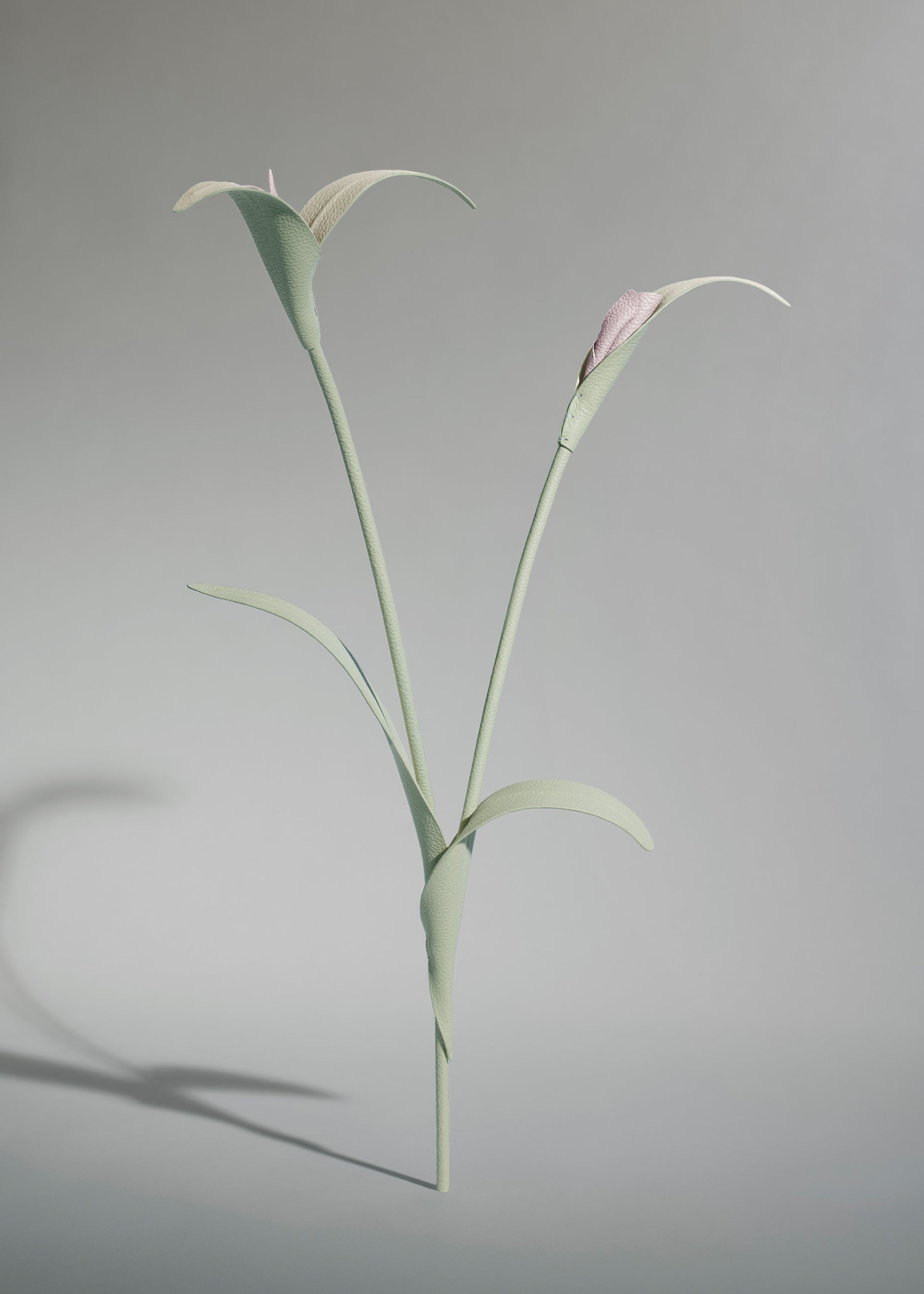 Touka-blomst - Trio Frisk Mandel