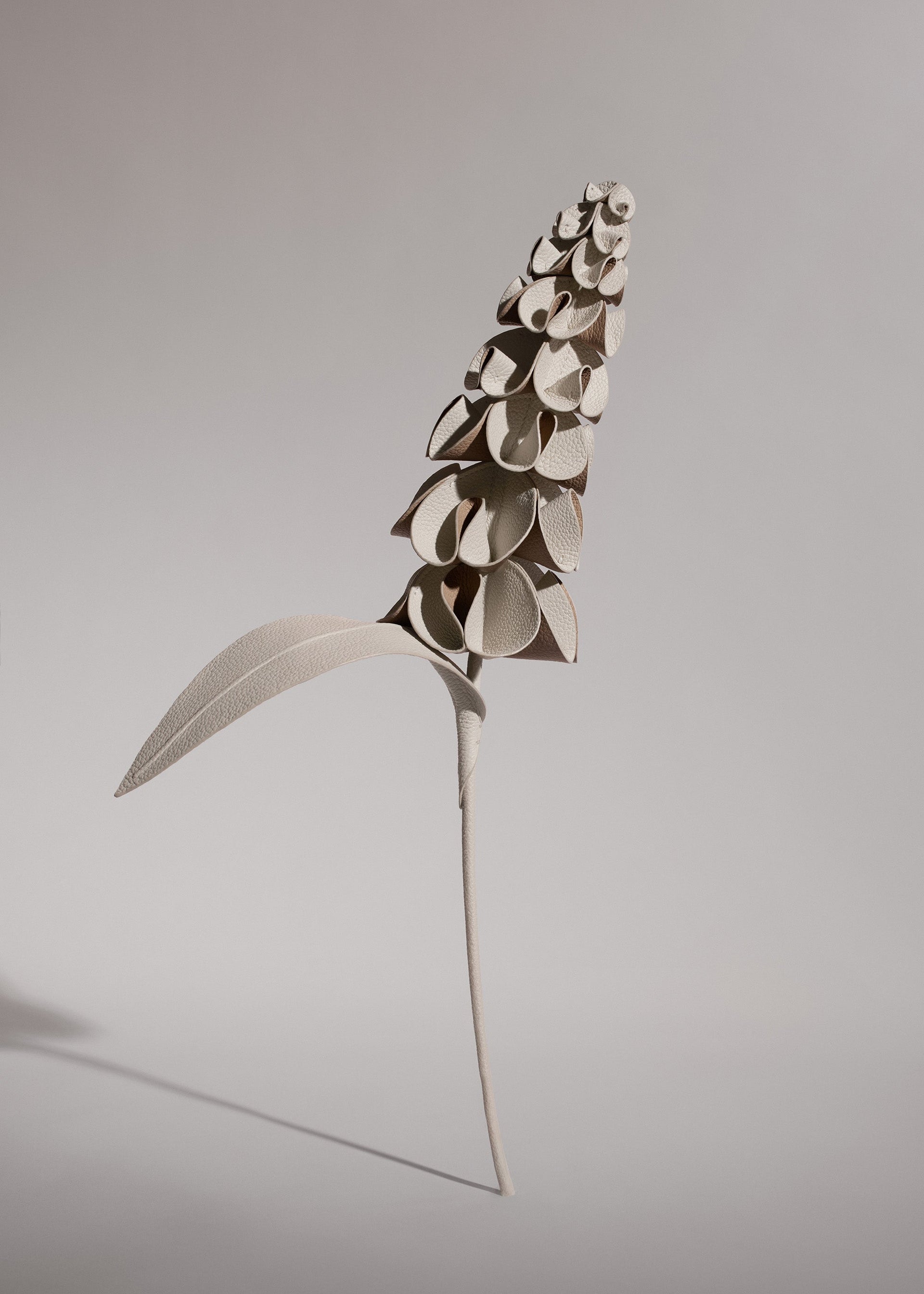 Orki-blomst - Duo Kridt