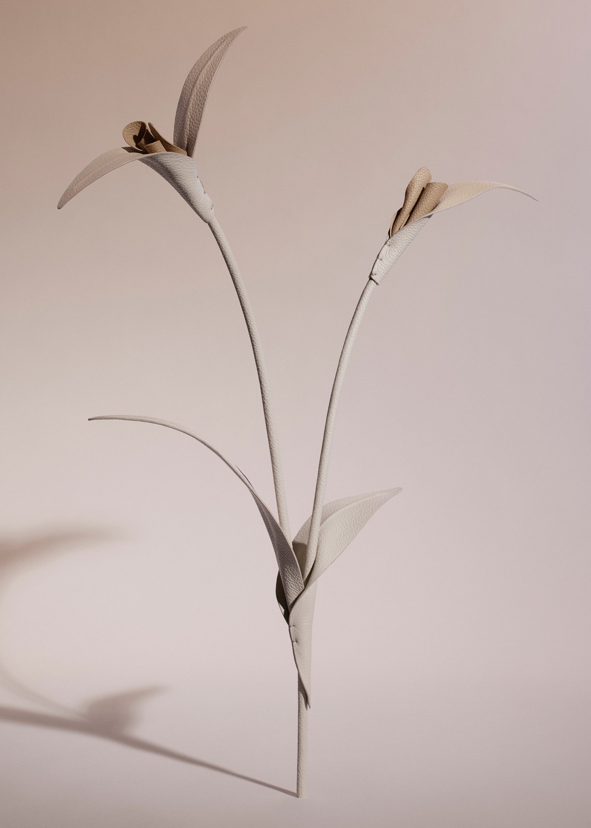 Touka-blomst - Trio Kridt Kornet