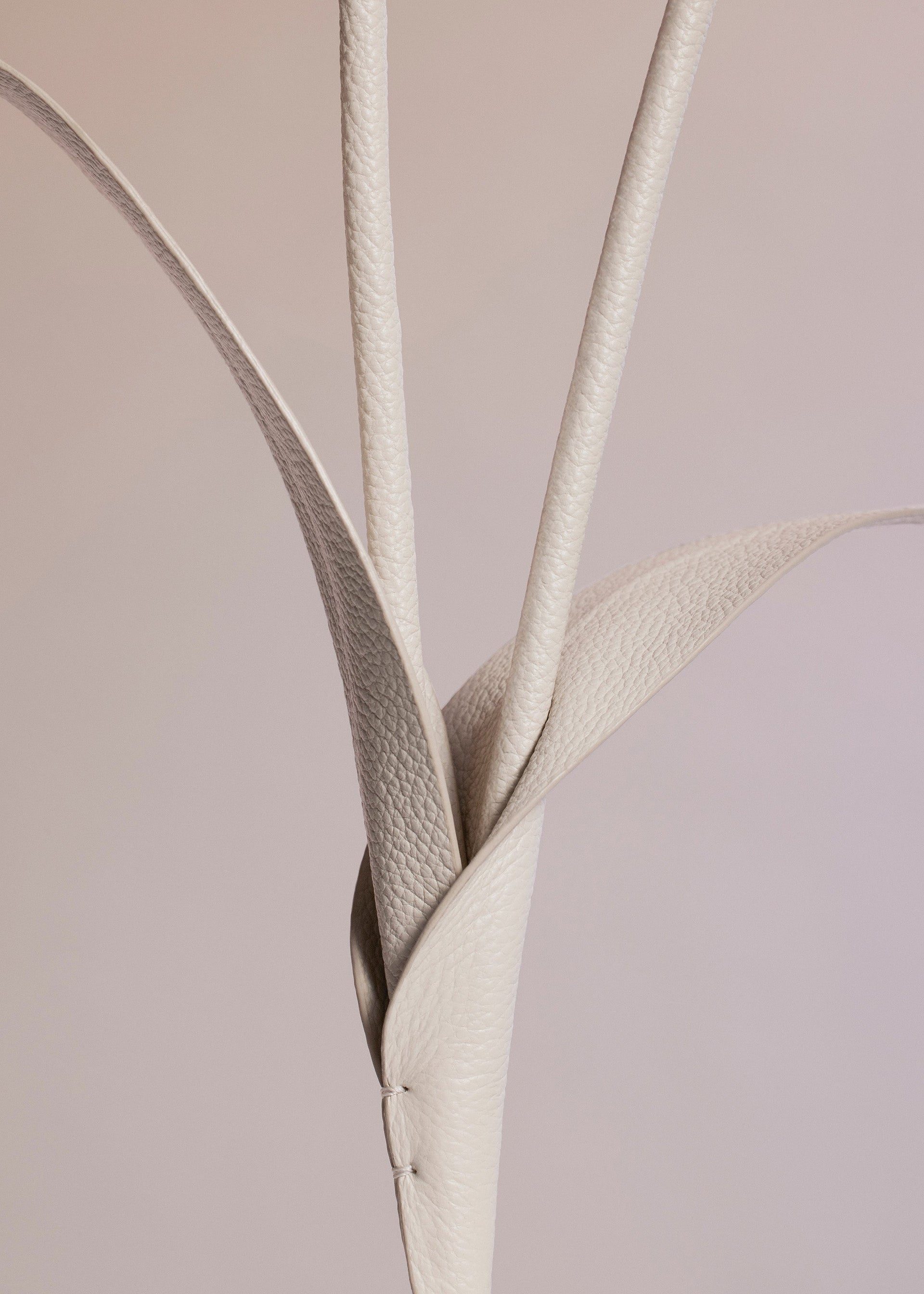 Touka-blomst - Trio Kridt Kornet