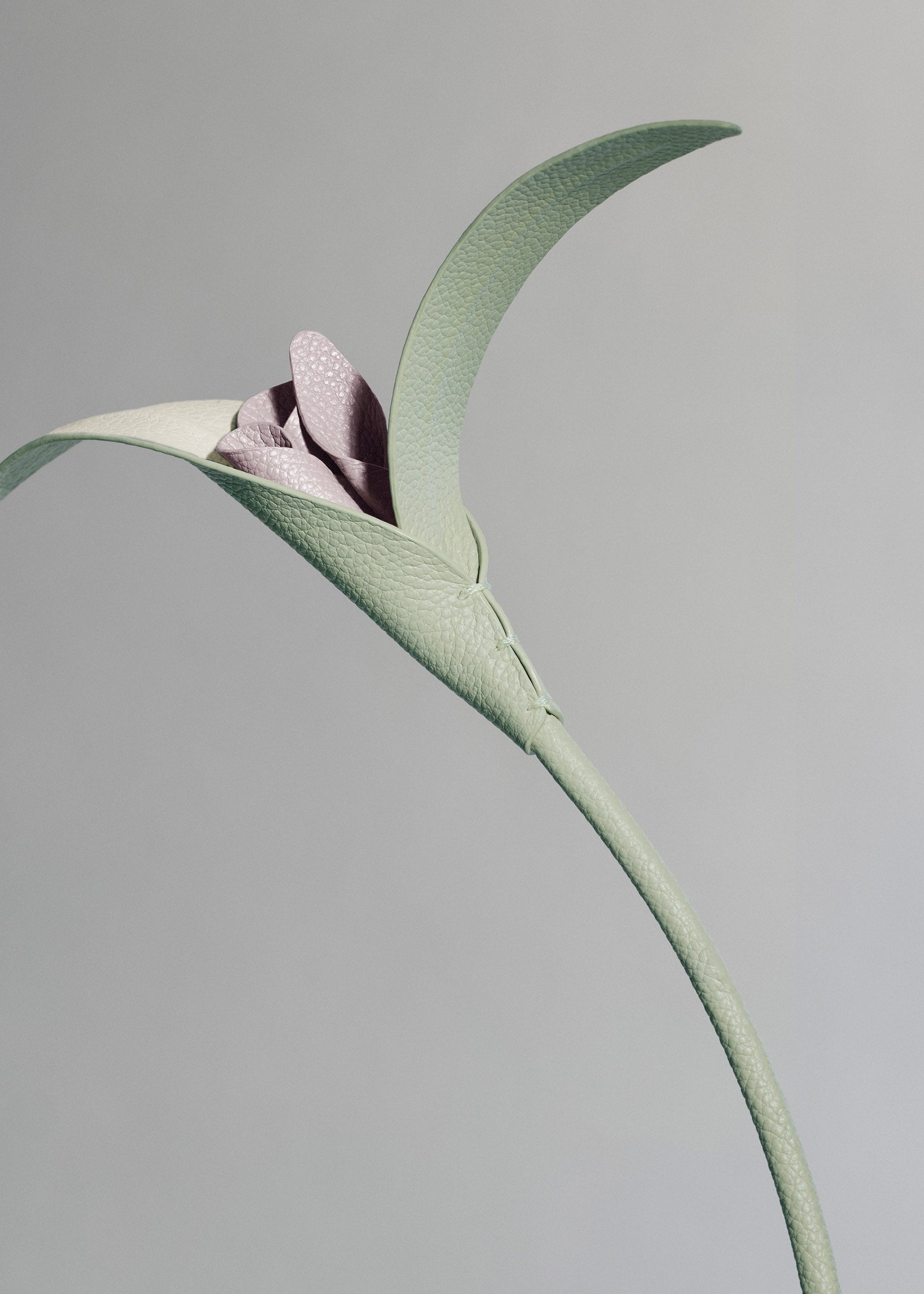 Touka blomst - Frisk Mandel