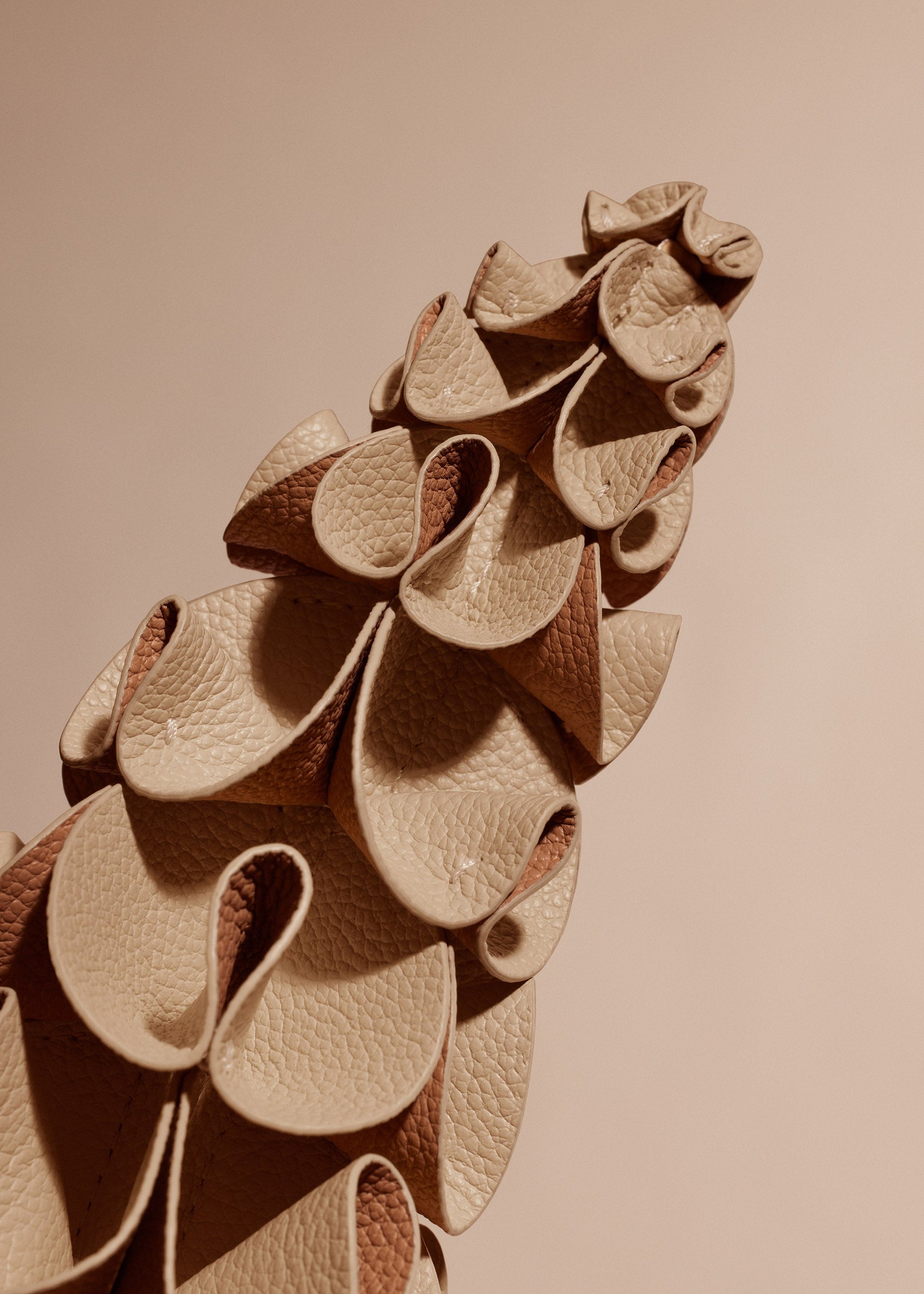 Orki-blomst - Duo Beige