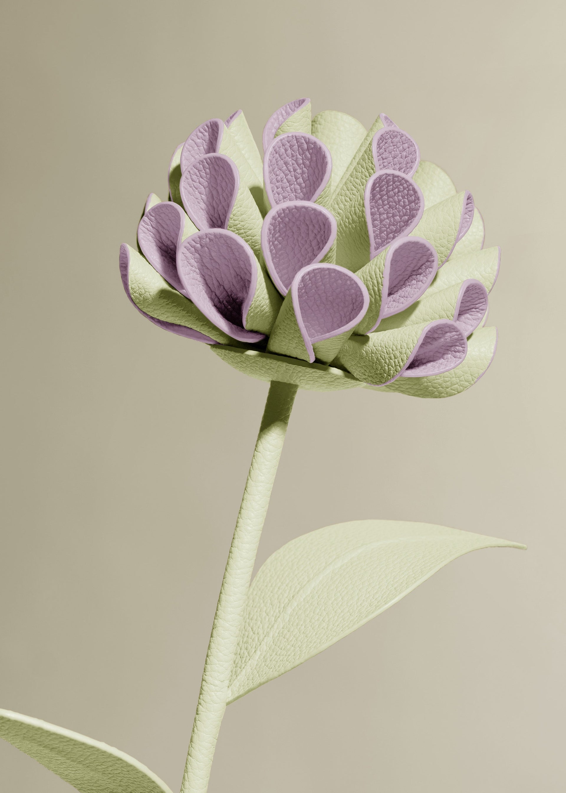 Dalium Blomst - Aloe
