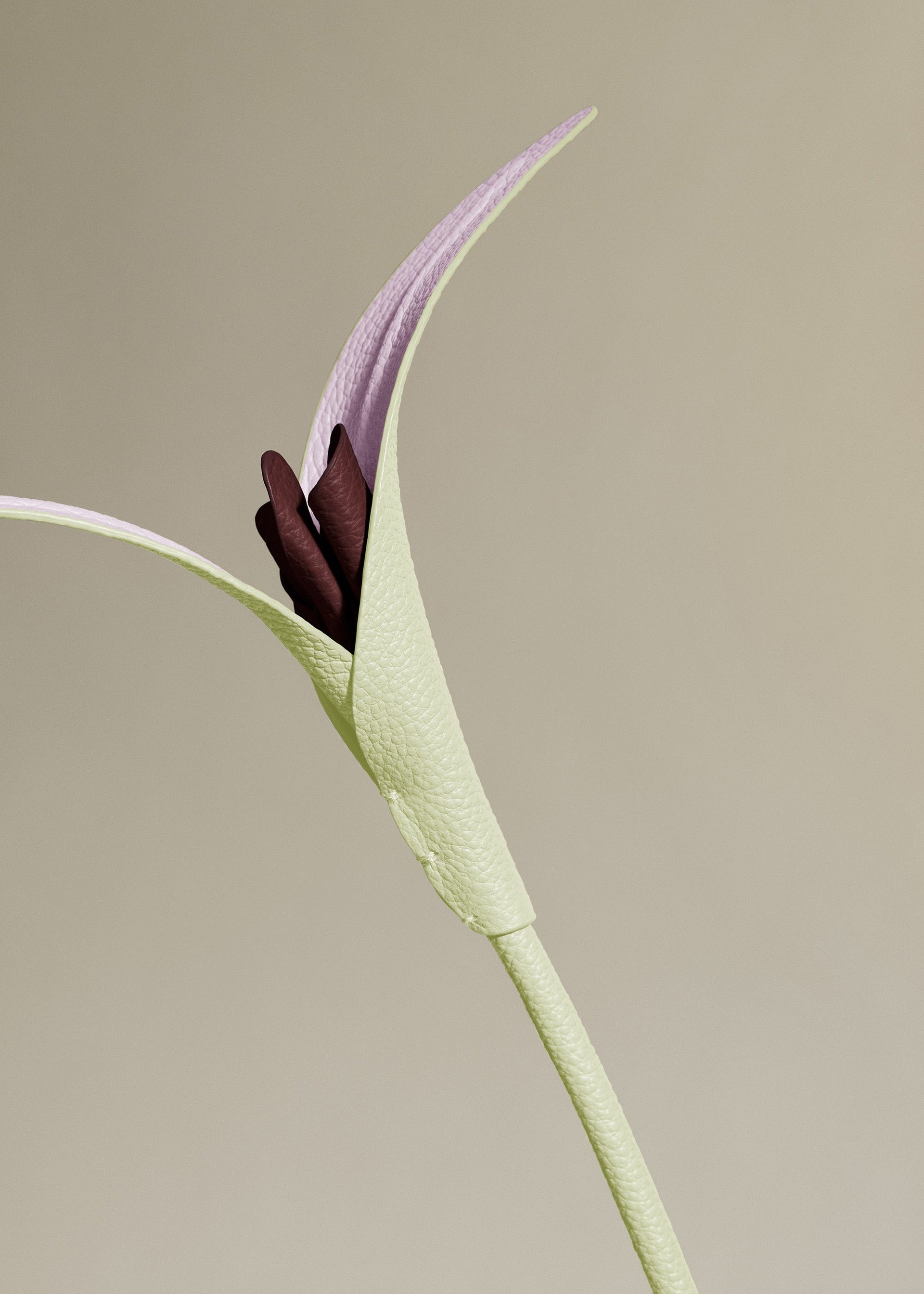 Touka Blomst - Aloe