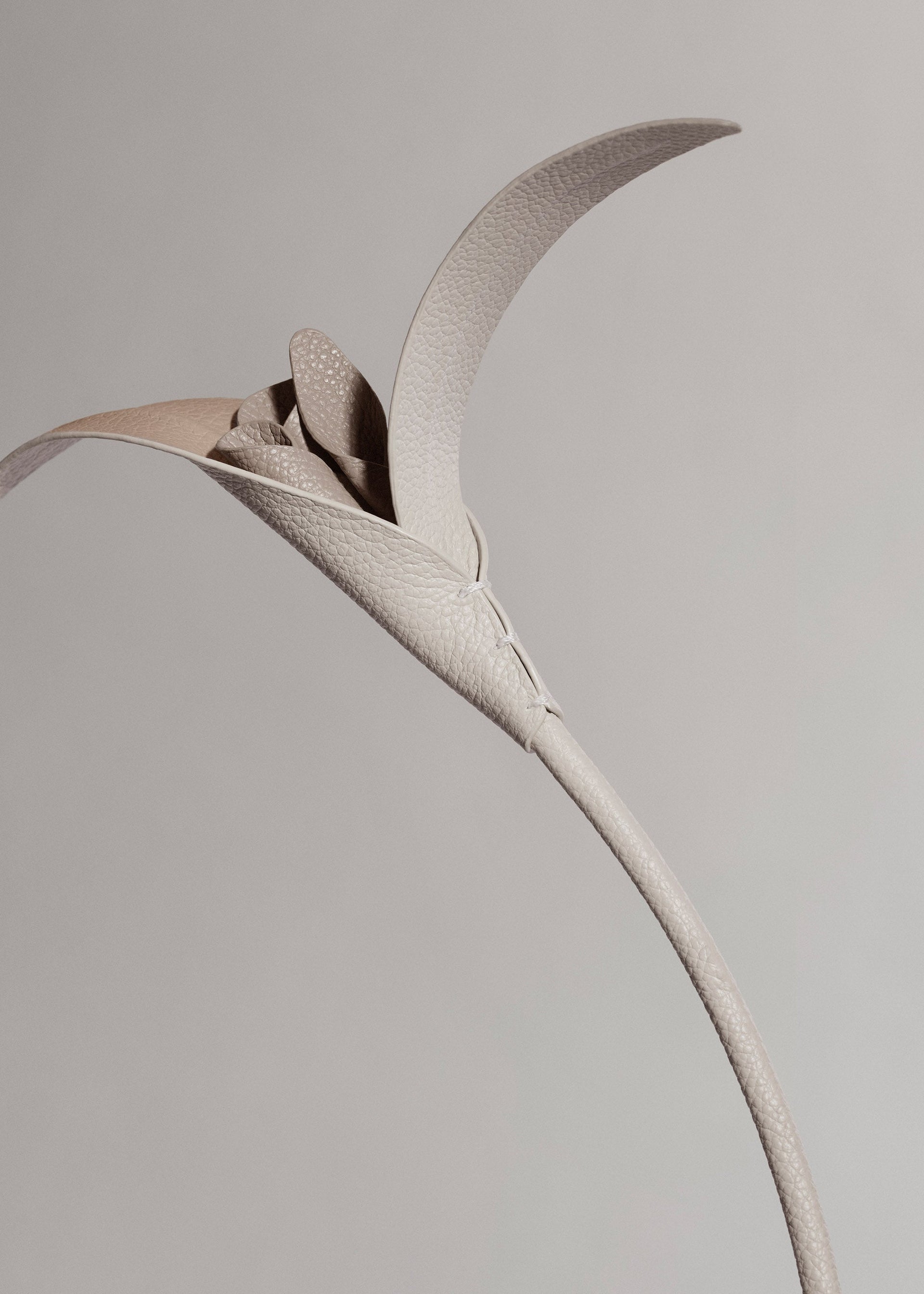 Touka-blomst - Trio Kridt