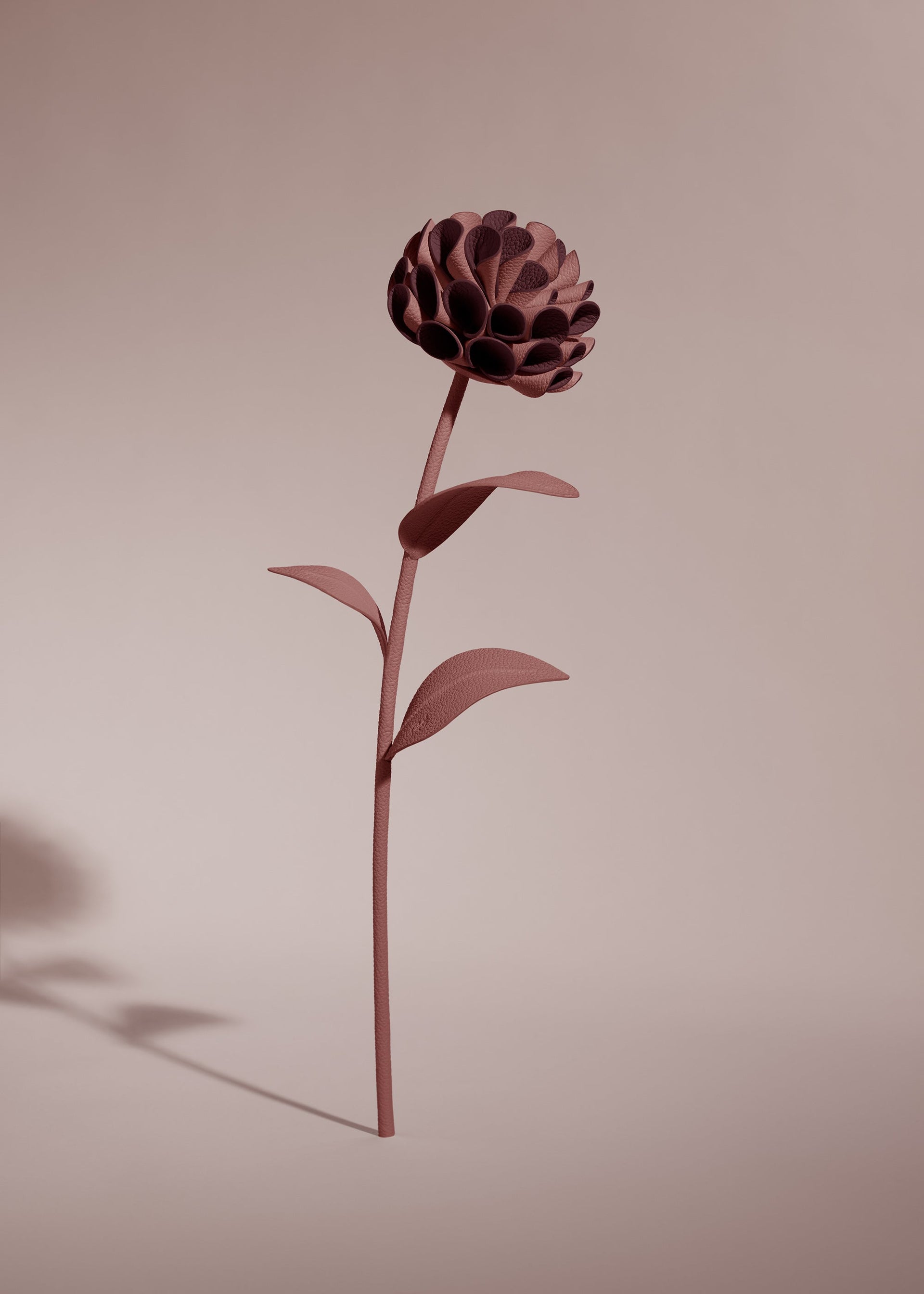 Dalium blomst - Lilla