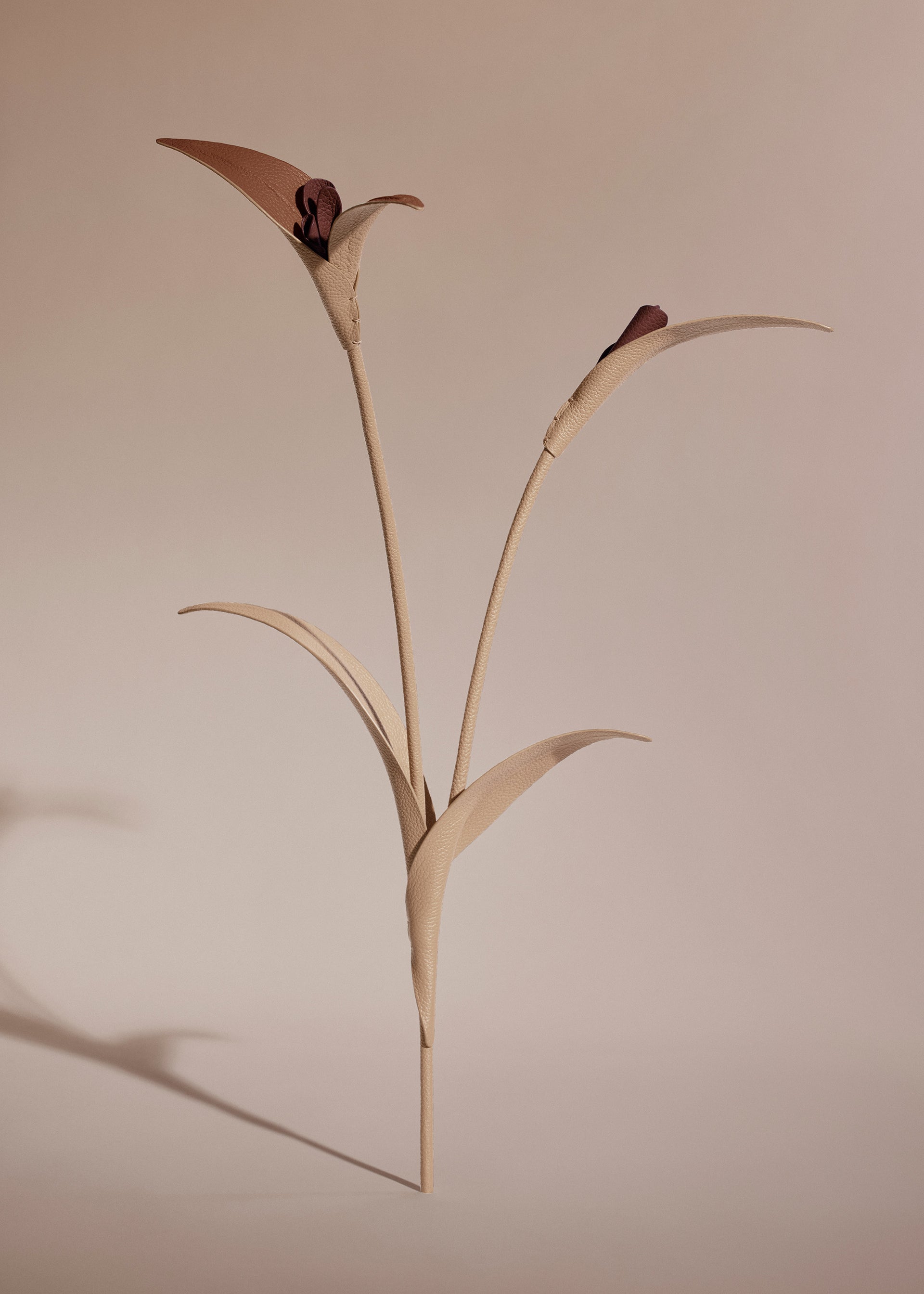 Touka-blomst - Beige