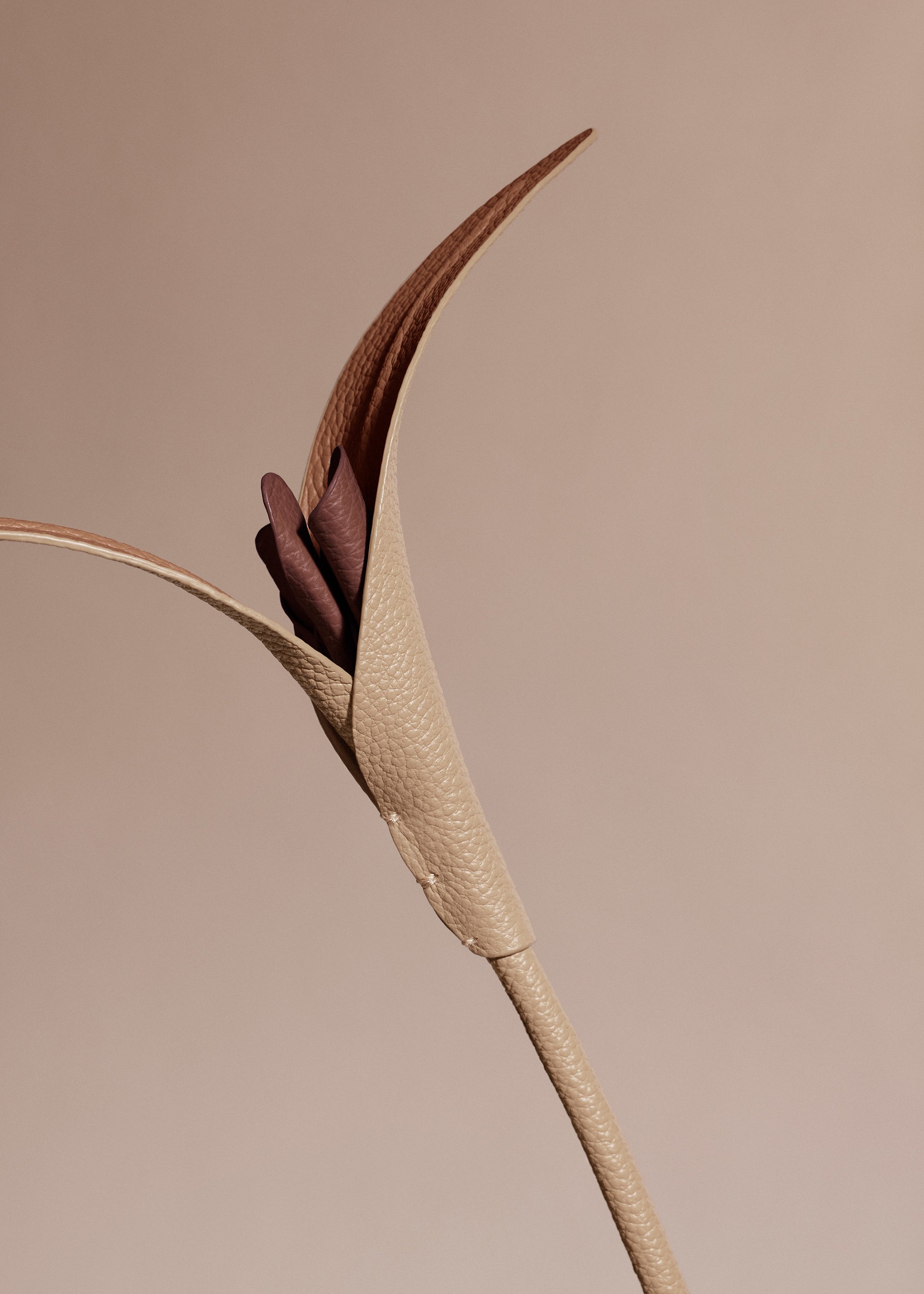 Touka-blomst - Beige