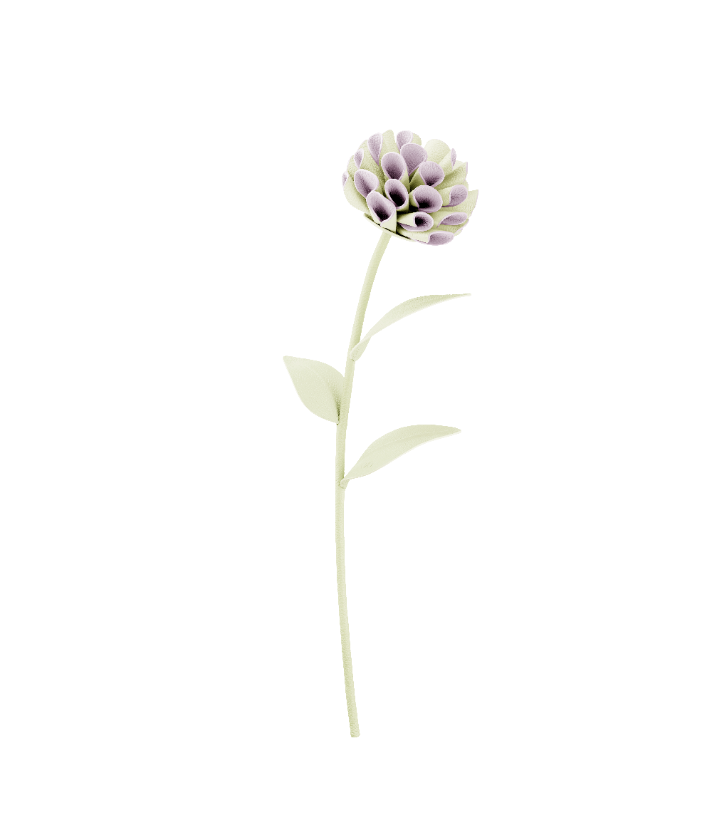 Dalium Blomst - Aloe