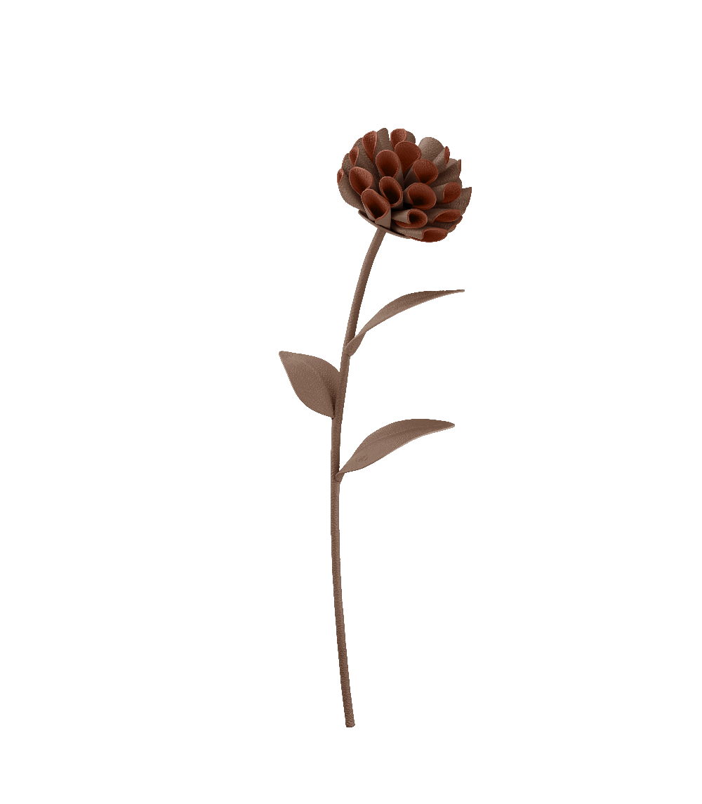 Dalium Blomst - Rod