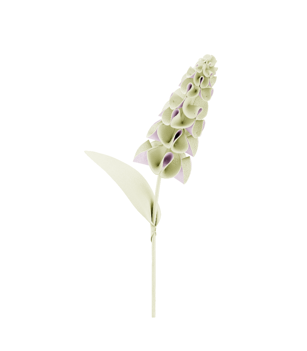 Orki Blomst - Aloe