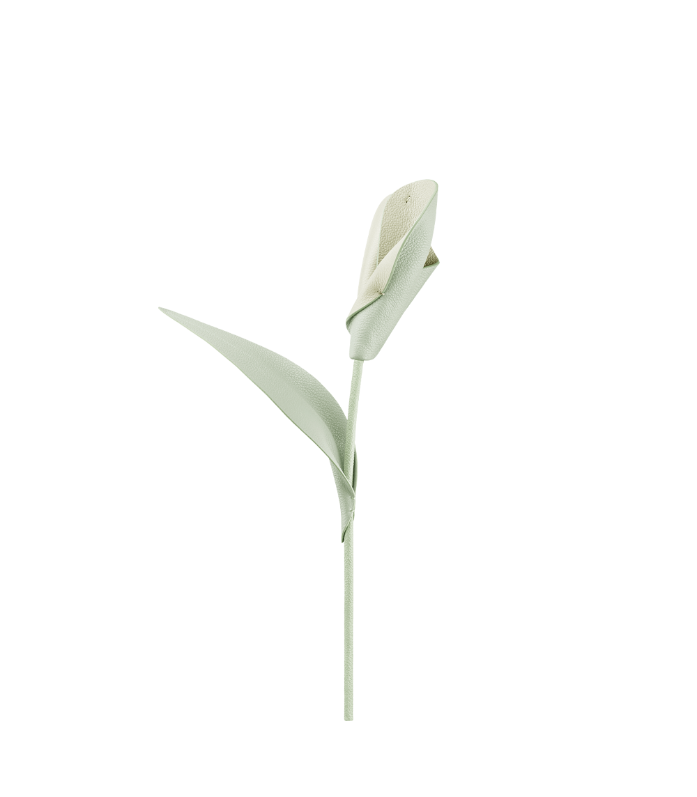 Pili blomst - Frisk Mandel