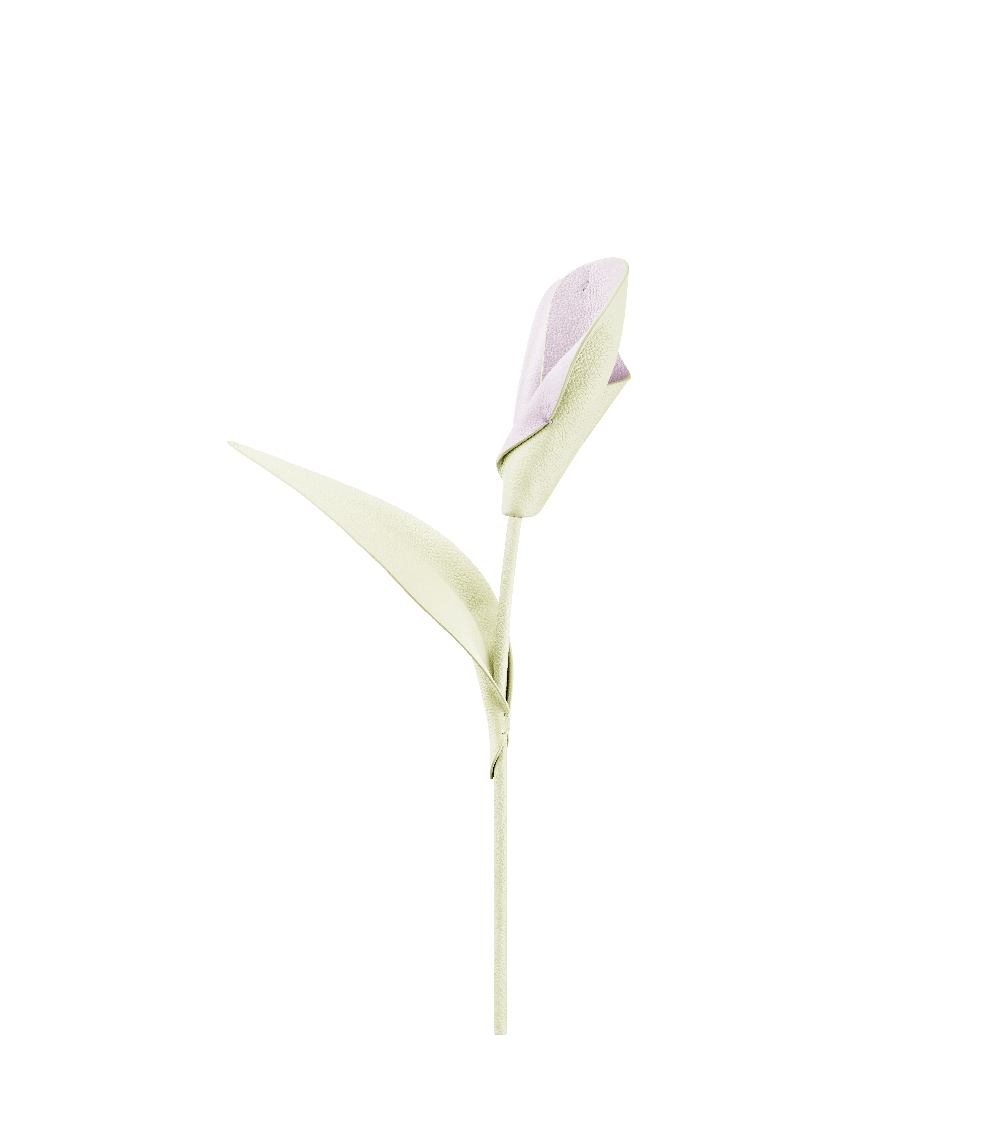 Pili Blomst - Aloe