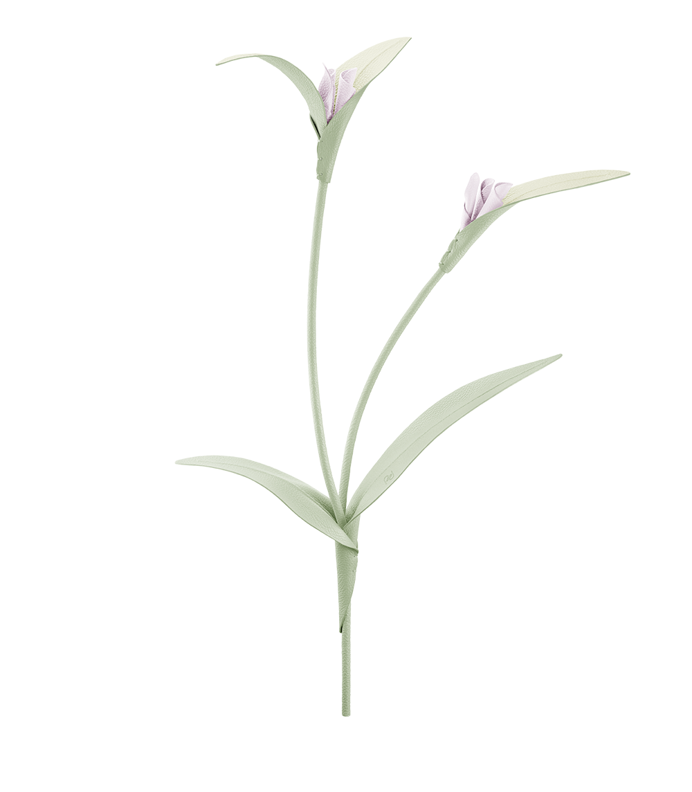 Touka blomst - Frisk Mandel